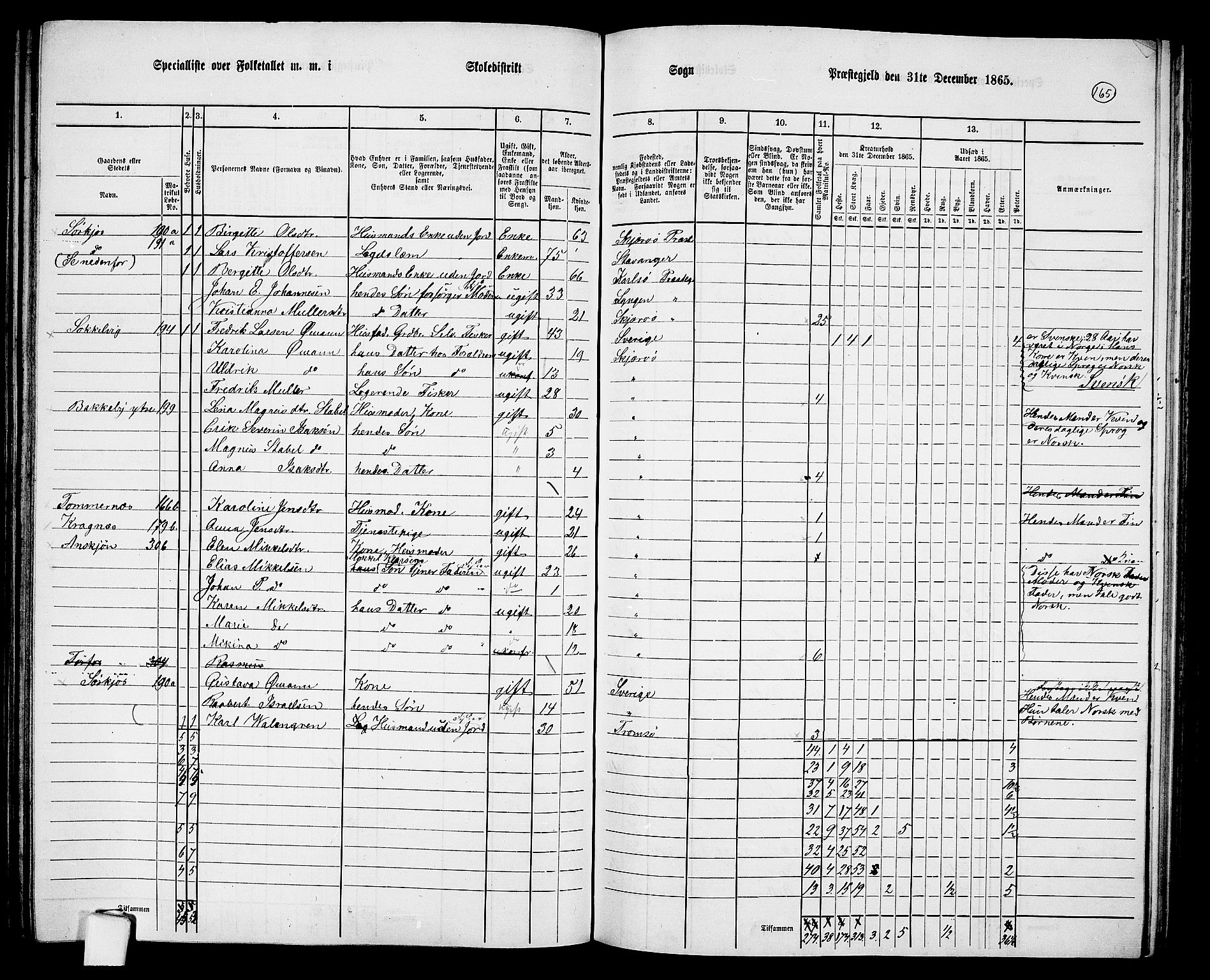 RA, Folketelling 1865 for 1941P Skjervøy prestegjeld, 1865, s. 47