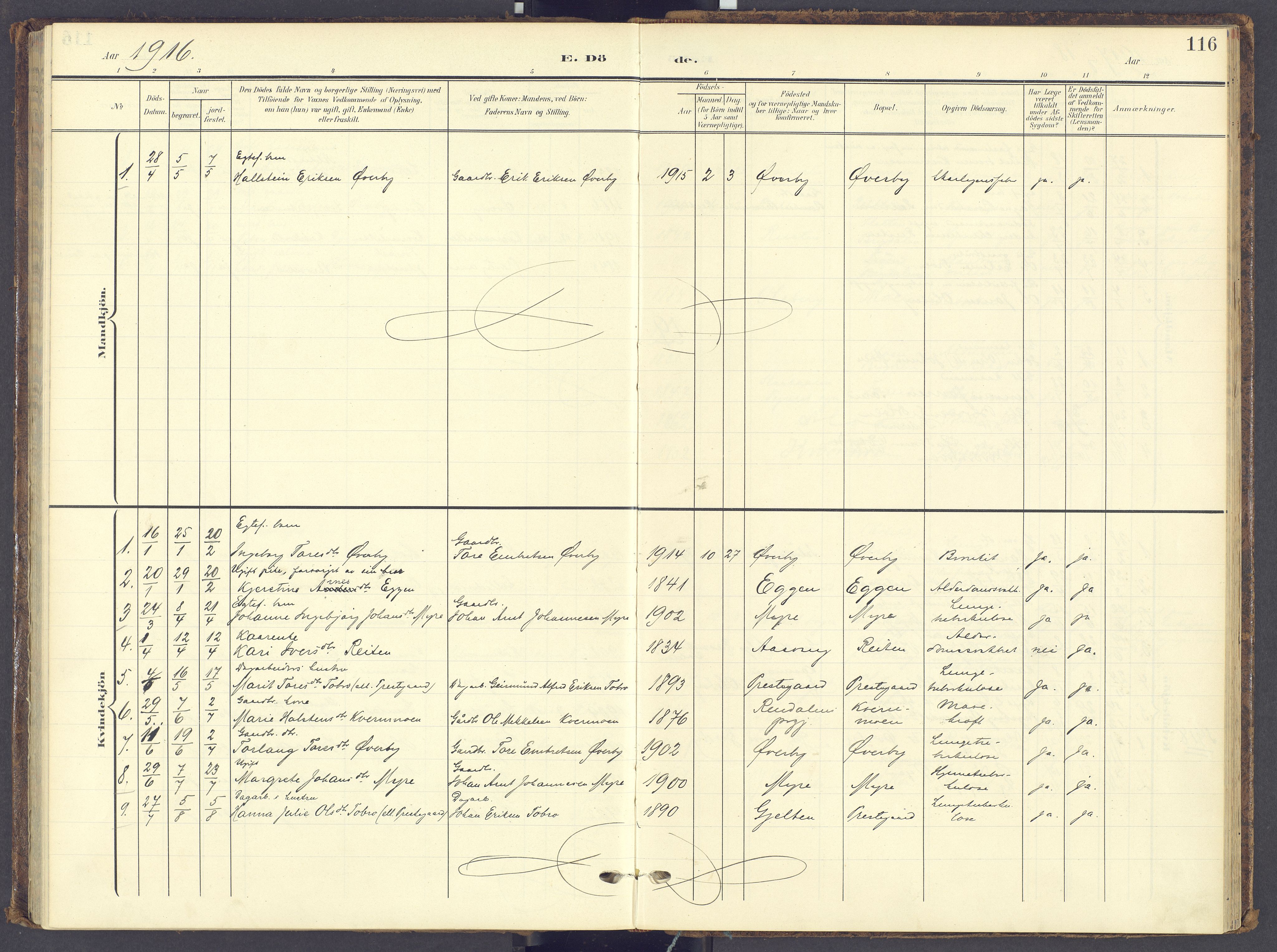 Tynset prestekontor, SAH/PREST-058/H/Ha/Haa/L0028: Ministerialbok nr. 28, 1902-1929, s. 116