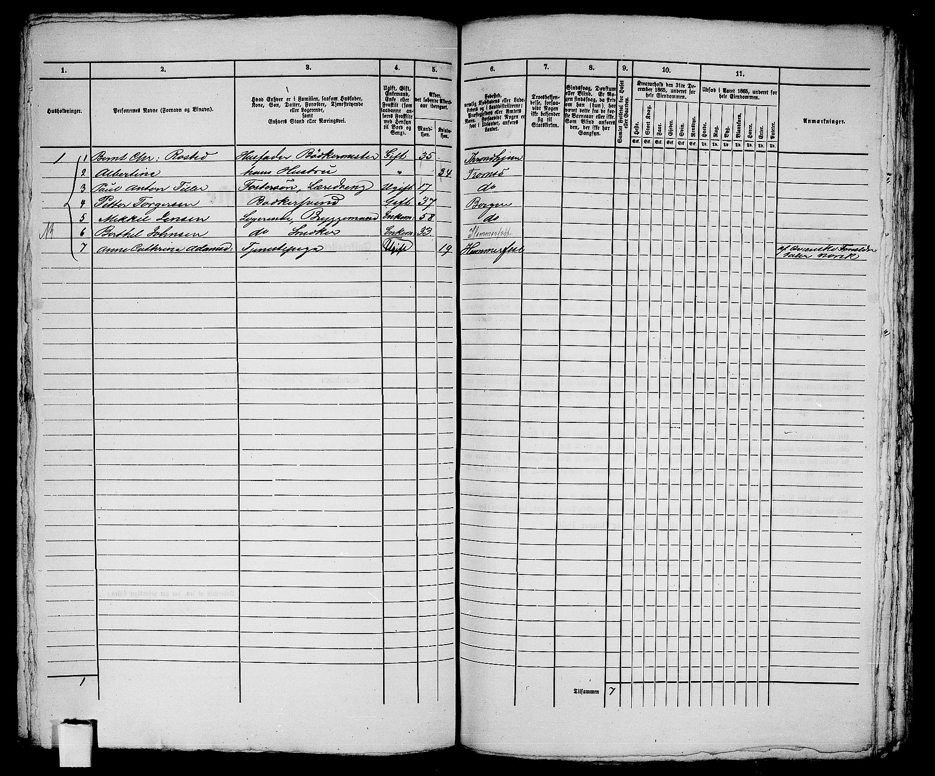 RA, Folketelling 1865 for 2001B Hammerfest prestegjeld, Hammerfest kjøpstad, 1865, s. 244