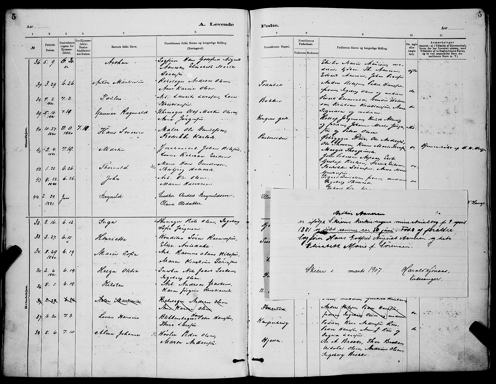 Skien kirkebøker, AV/SAKO-A-302/G/Ga/L0006: Klokkerbok nr. 6, 1881-1890, s. 5