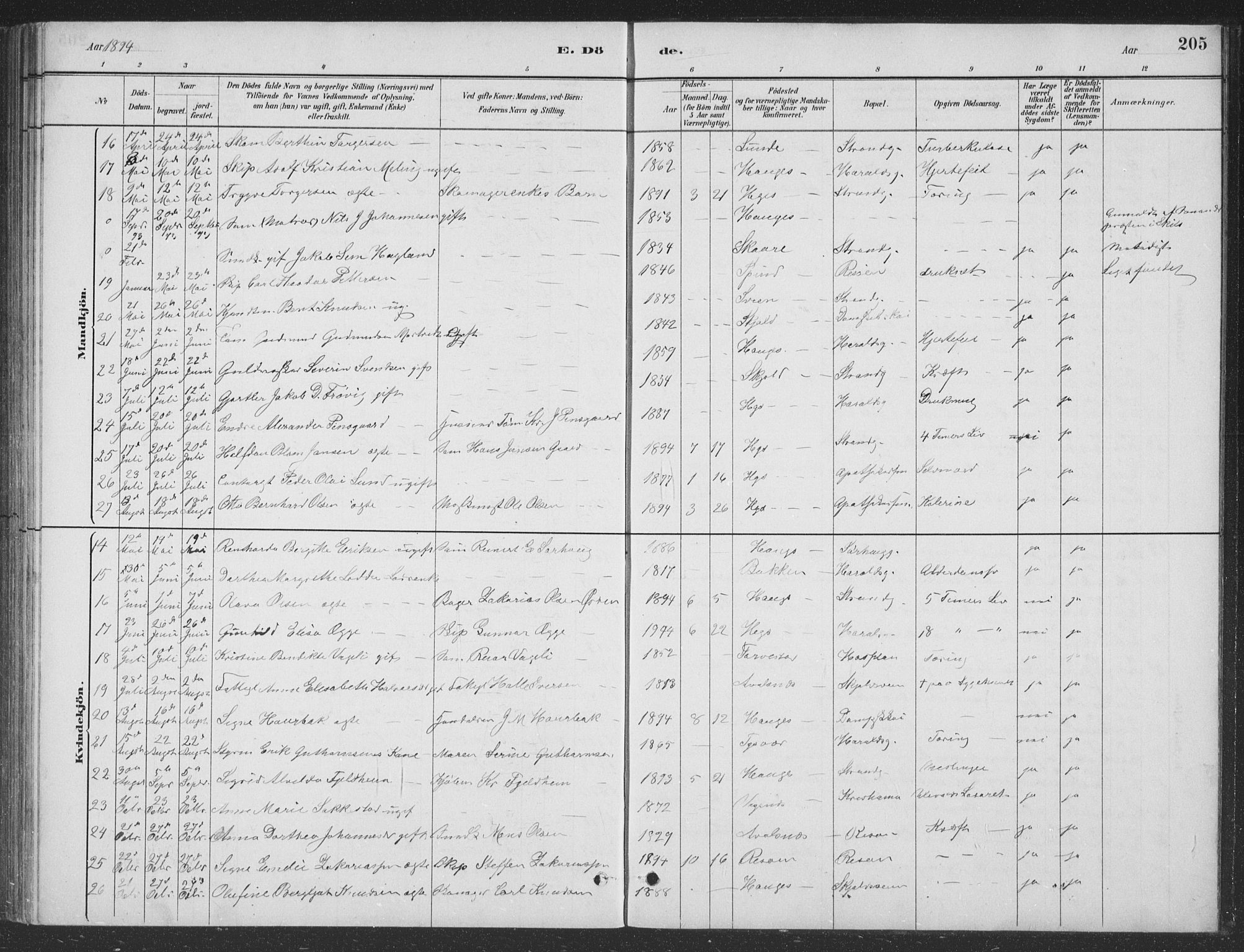 Haugesund sokneprestkontor, SAST/A -101863/H/Ha/Hab/L0002: Klokkerbok nr. B 2, 1881-1894, s. 205