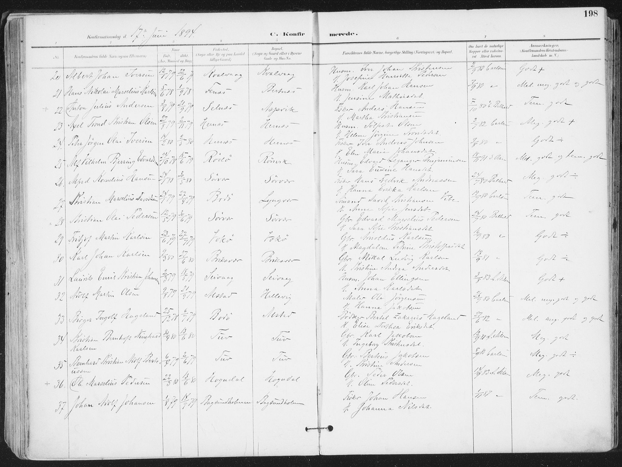 Ministerialprotokoller, klokkerbøker og fødselsregistre - Nordland, AV/SAT-A-1459/802/L0055: Ministerialbok nr. 802A02, 1894-1915, s. 198