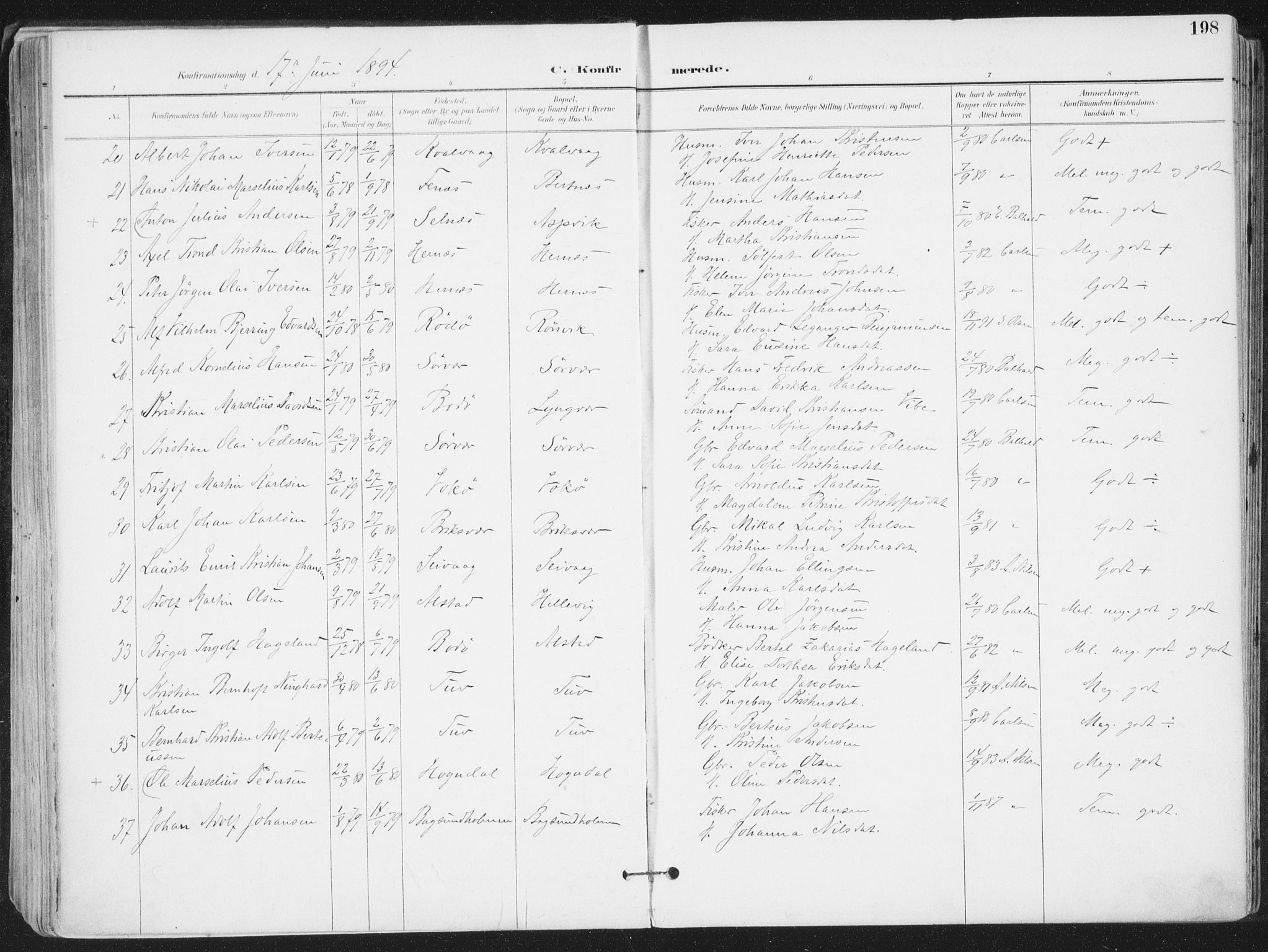 Ministerialprotokoller, klokkerbøker og fødselsregistre - Nordland, SAT/A-1459/802/L0055: Ministerialbok nr. 802A02, 1894-1915, s. 198