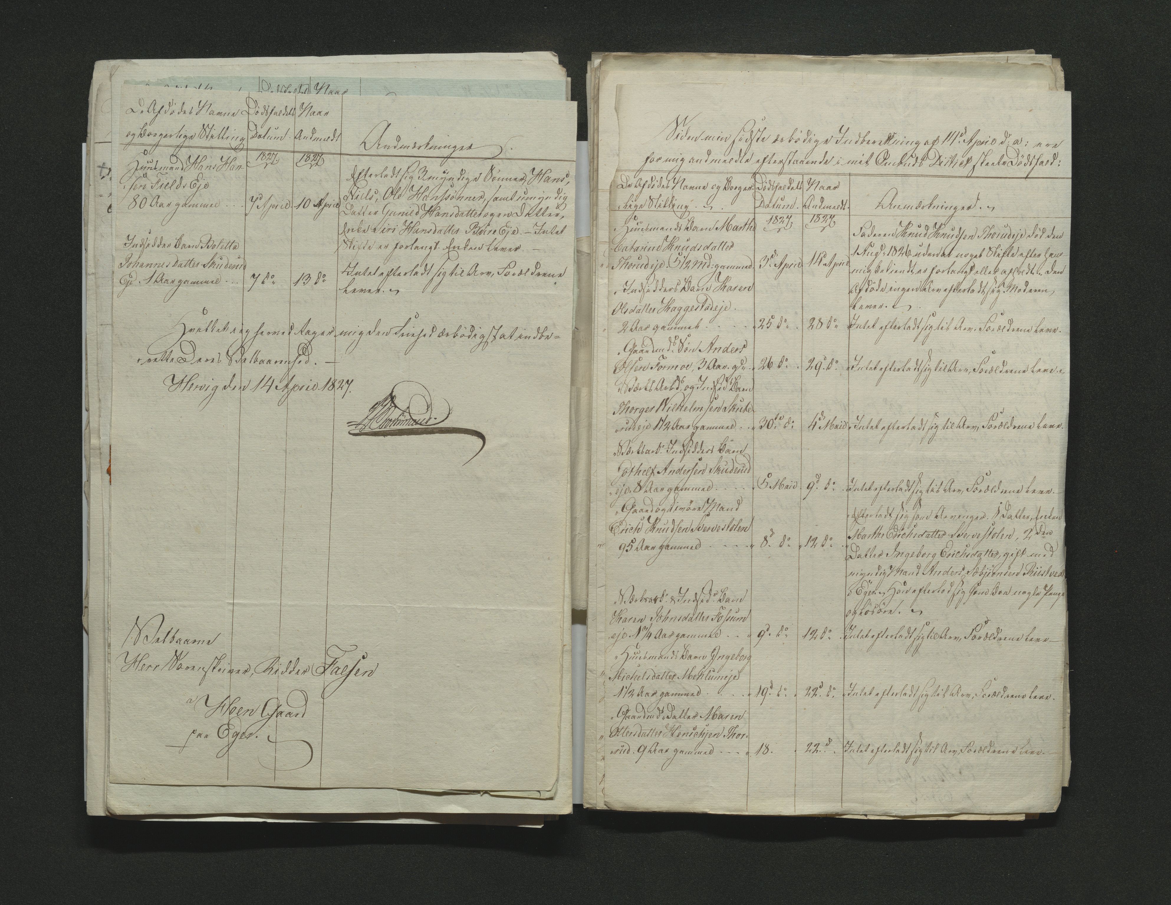 Eiker, Modum og Sigdal sorenskriveri, AV/SAKO-A-123/H/Ha/Hab/L0002: Dødsfallsmeldinger, 1823-1829, s. 196