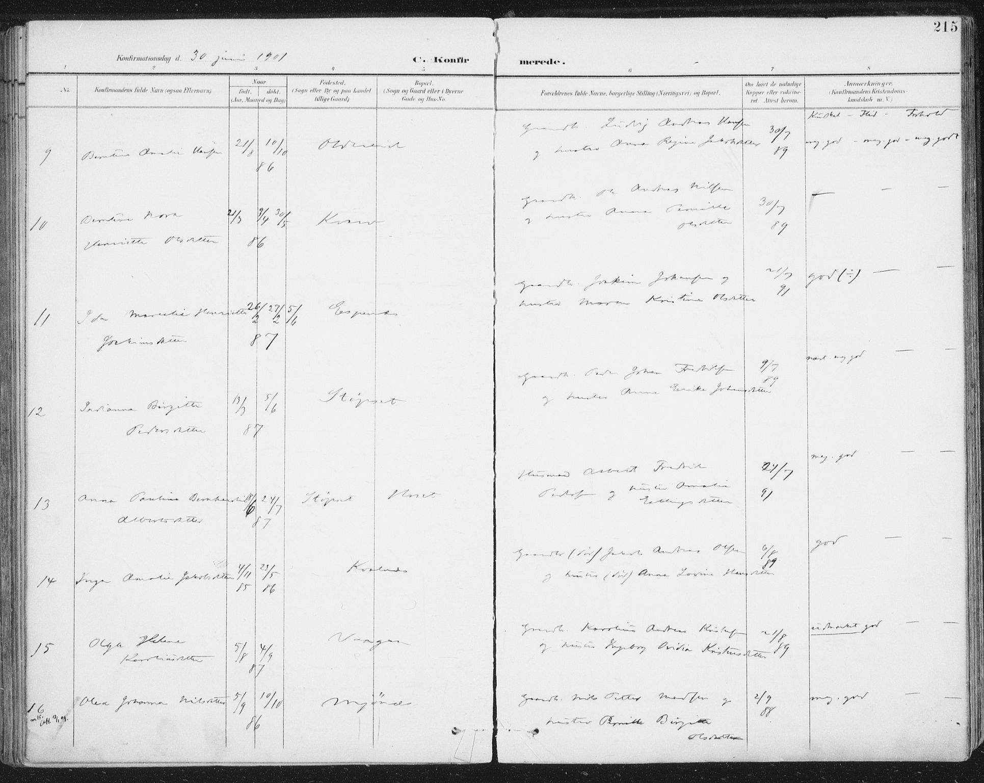 Ministerialprotokoller, klokkerbøker og fødselsregistre - Nordland, AV/SAT-A-1459/852/L0741: Ministerialbok nr. 852A11, 1894-1917, s. 215