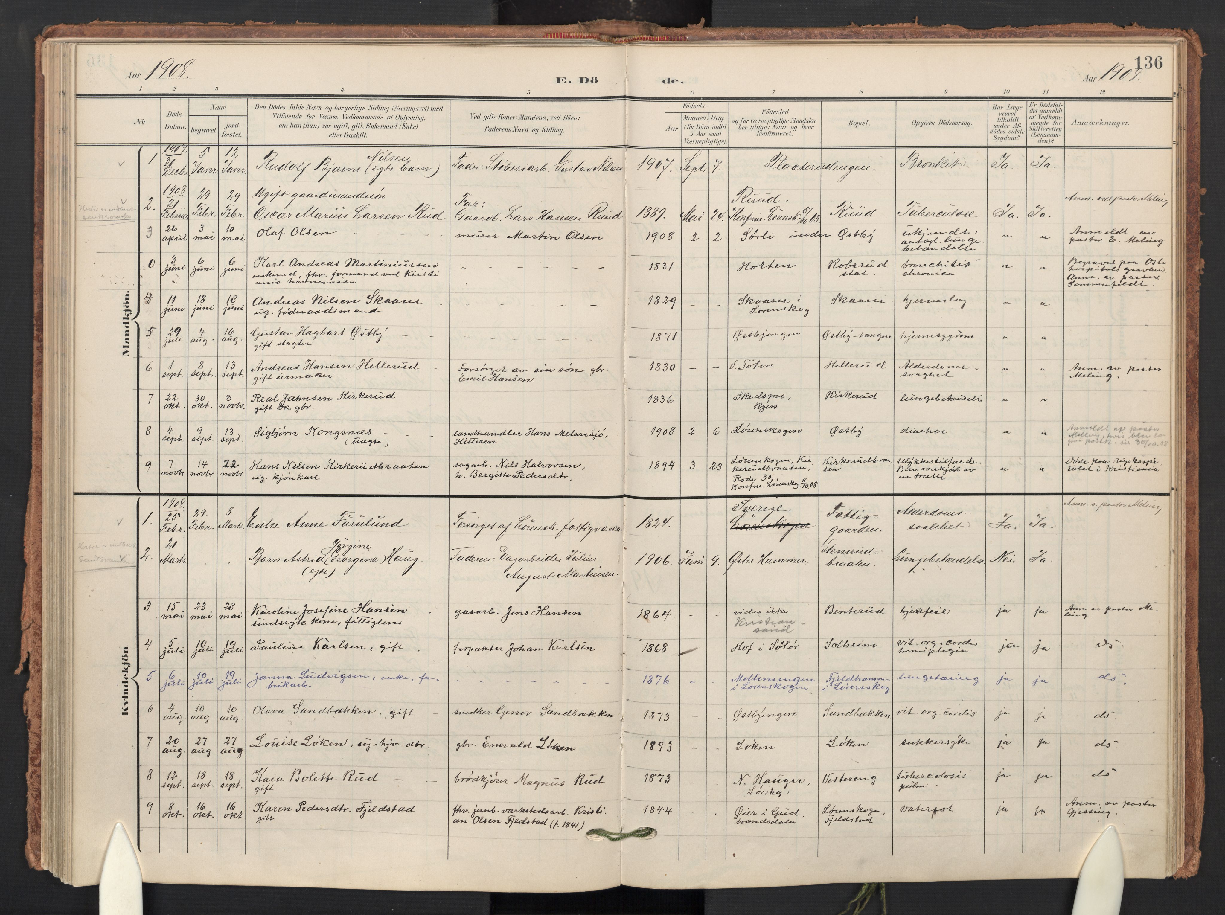 Skedsmo prestekontor Kirkebøker, AV/SAO-A-10033a/F/Fb/L0002: Ministerialbok nr. II 2, 1902-1921, s. 136