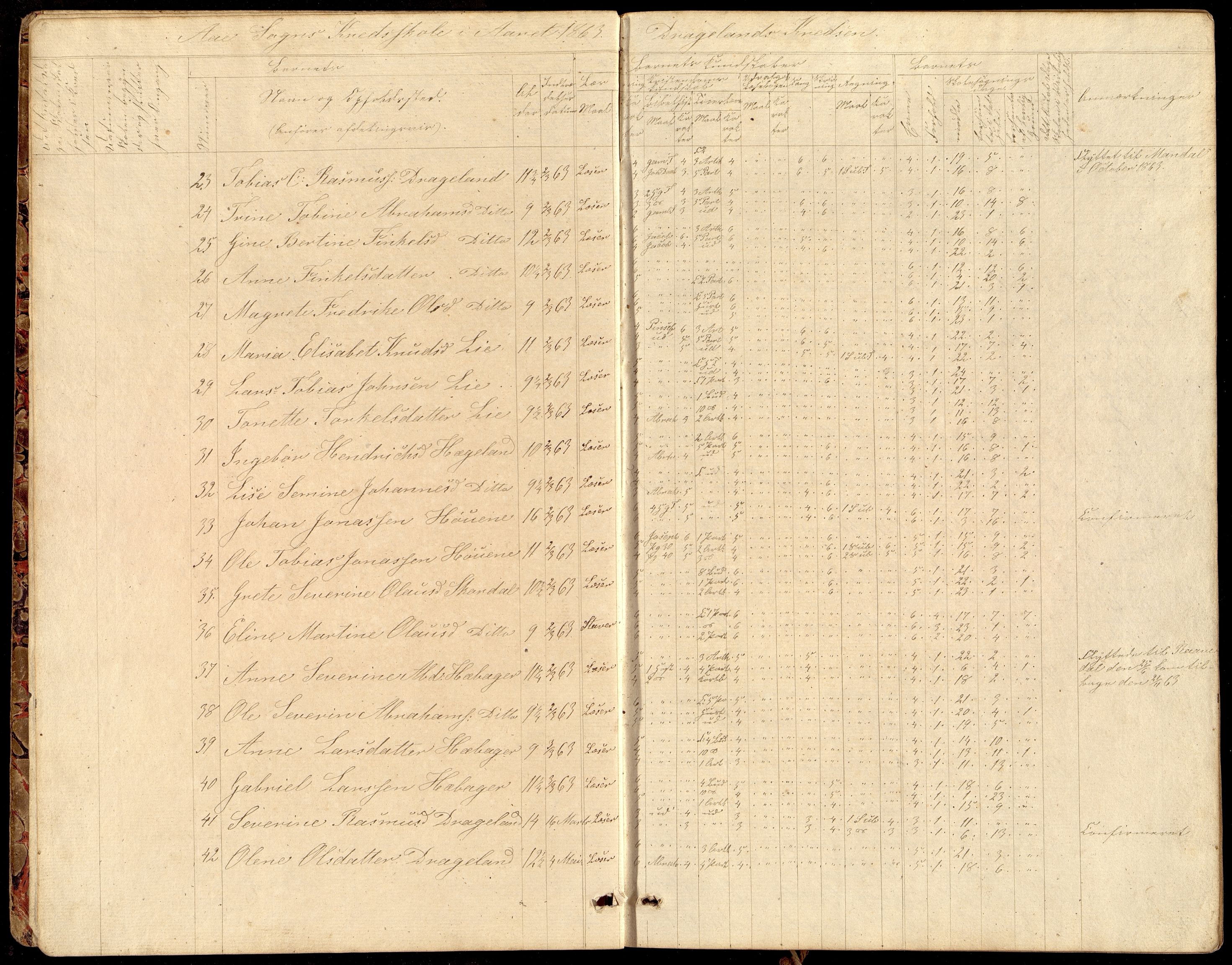 Lyngdal kommune - Tjomsland Skolekrets, ARKSOR/1032LG553/H/L0001: Skoleprotokoll (d), 1863-1882