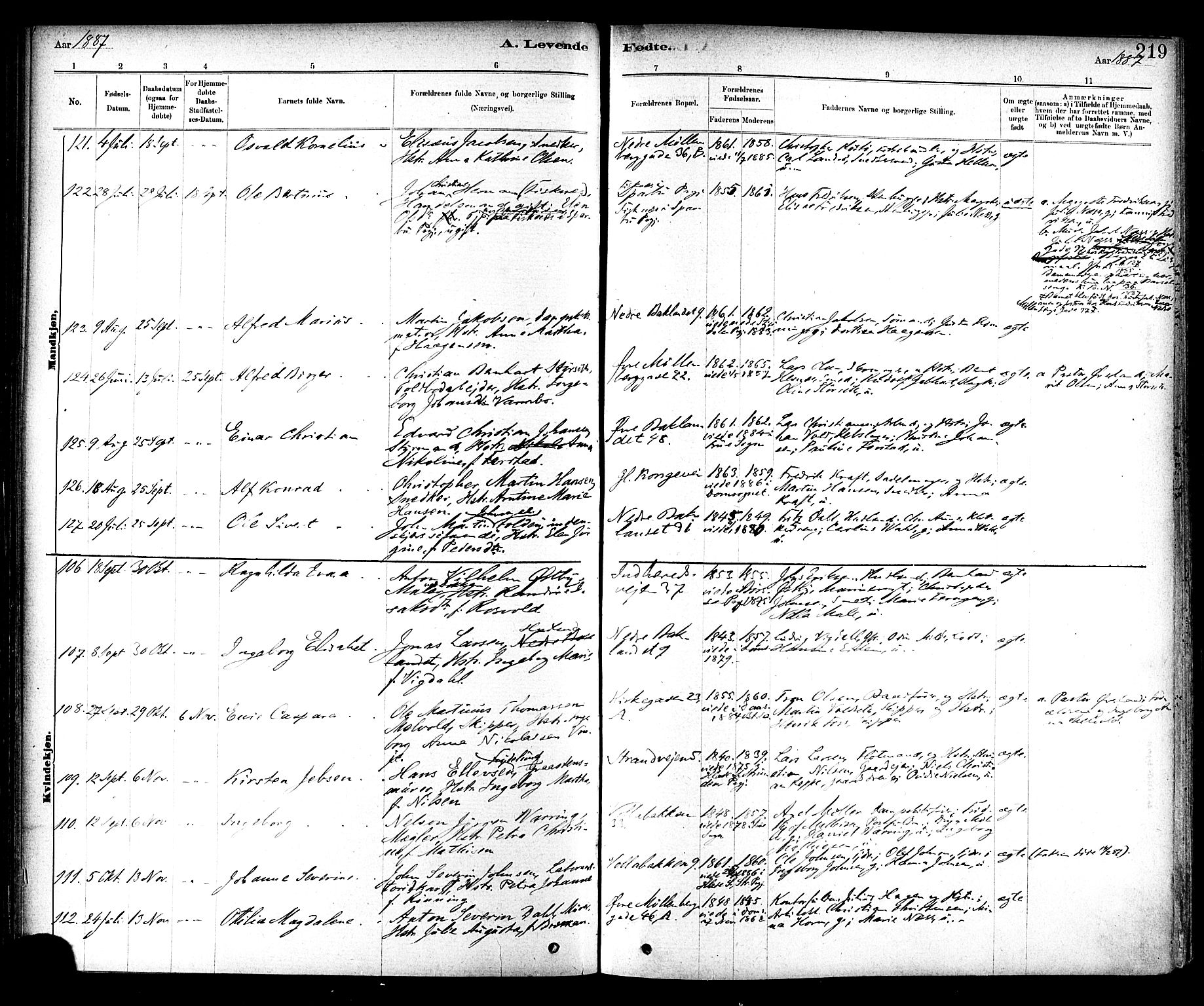 Ministerialprotokoller, klokkerbøker og fødselsregistre - Sør-Trøndelag, SAT/A-1456/604/L0188: Ministerialbok nr. 604A09, 1878-1892, s. 219