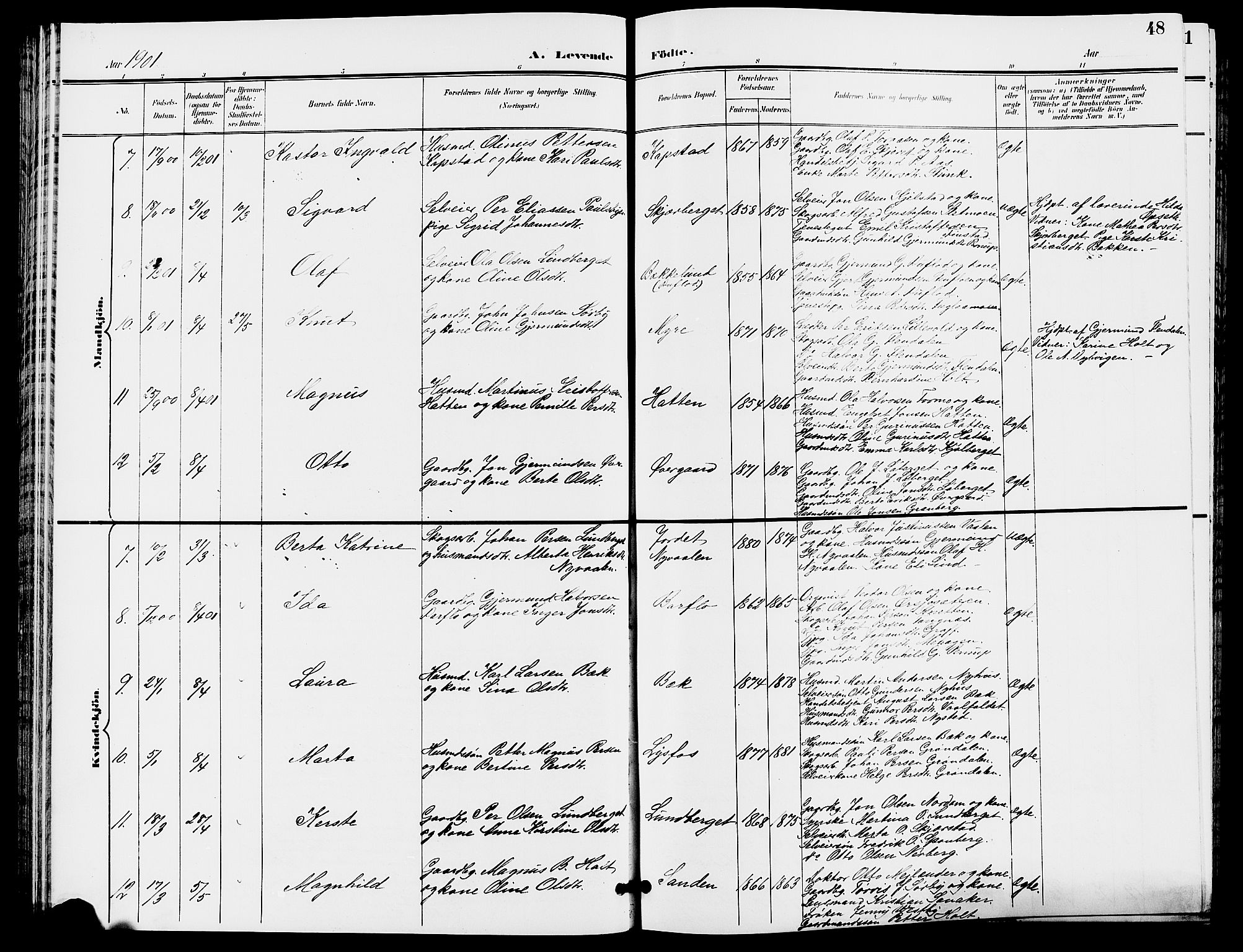 Trysil prestekontor, SAH/PREST-046/H/Ha/Hab/L0006: Klokkerbok nr. 6, 1896-1912, s. 48