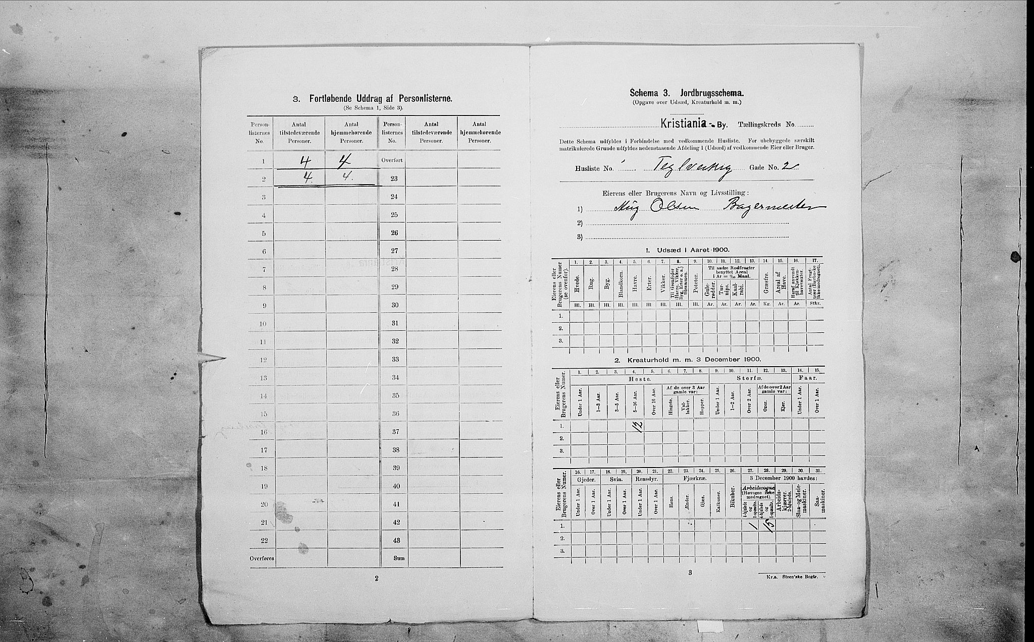 SAO, Folketelling 1900 for 0301 Kristiania kjøpstad, 1900, s. 96057