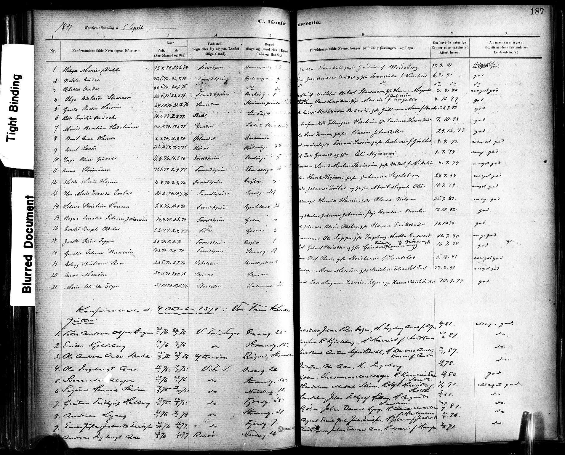 Ministerialprotokoller, klokkerbøker og fødselsregistre - Sør-Trøndelag, SAT/A-1456/602/L0119: Ministerialbok nr. 602A17, 1880-1901, s. 187