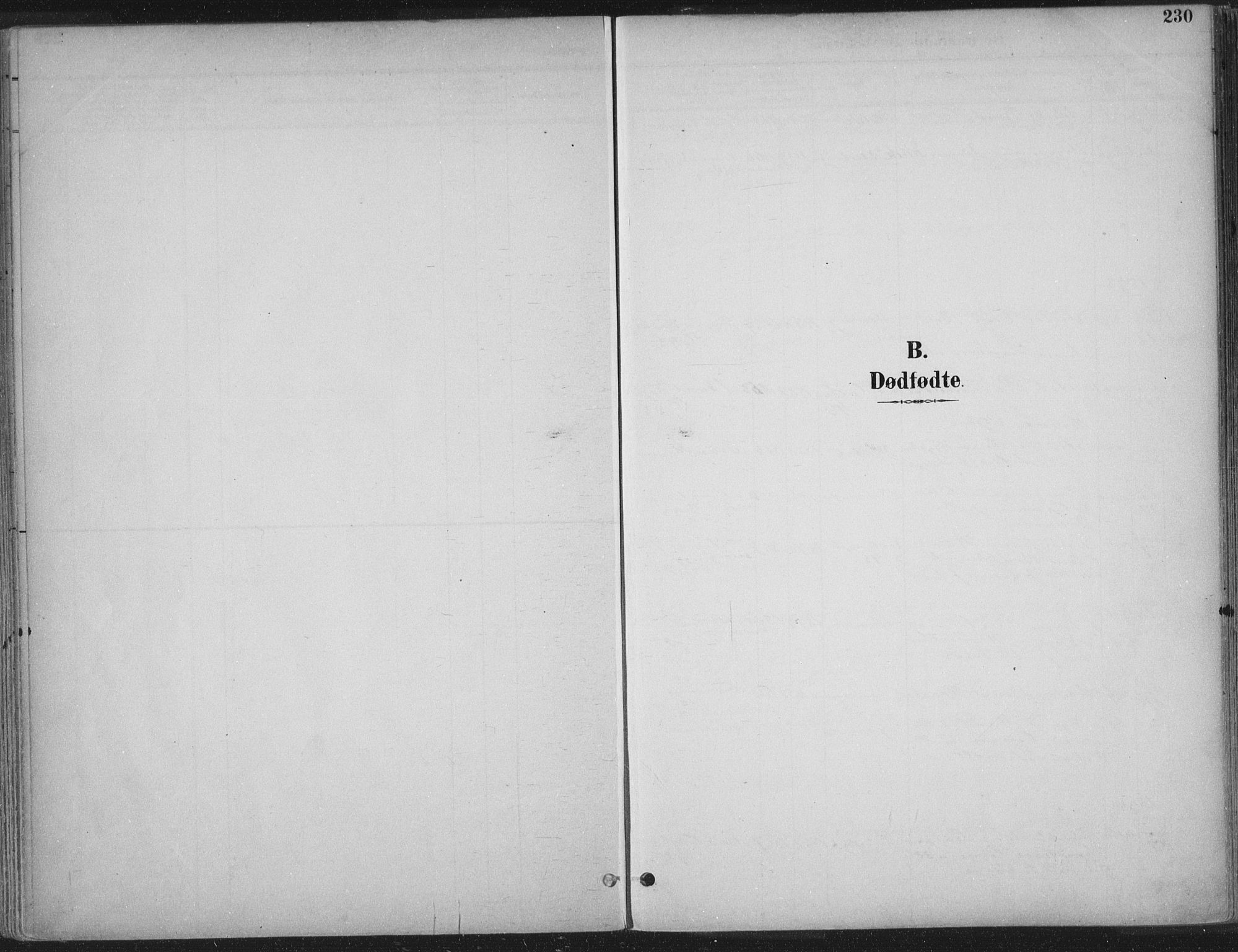 Ministerialprotokoller, klokkerbøker og fødselsregistre - Sør-Trøndelag, AV/SAT-A-1456/601/L0062: Ministerialbok nr. 601A30, 1891-1911, s. 230