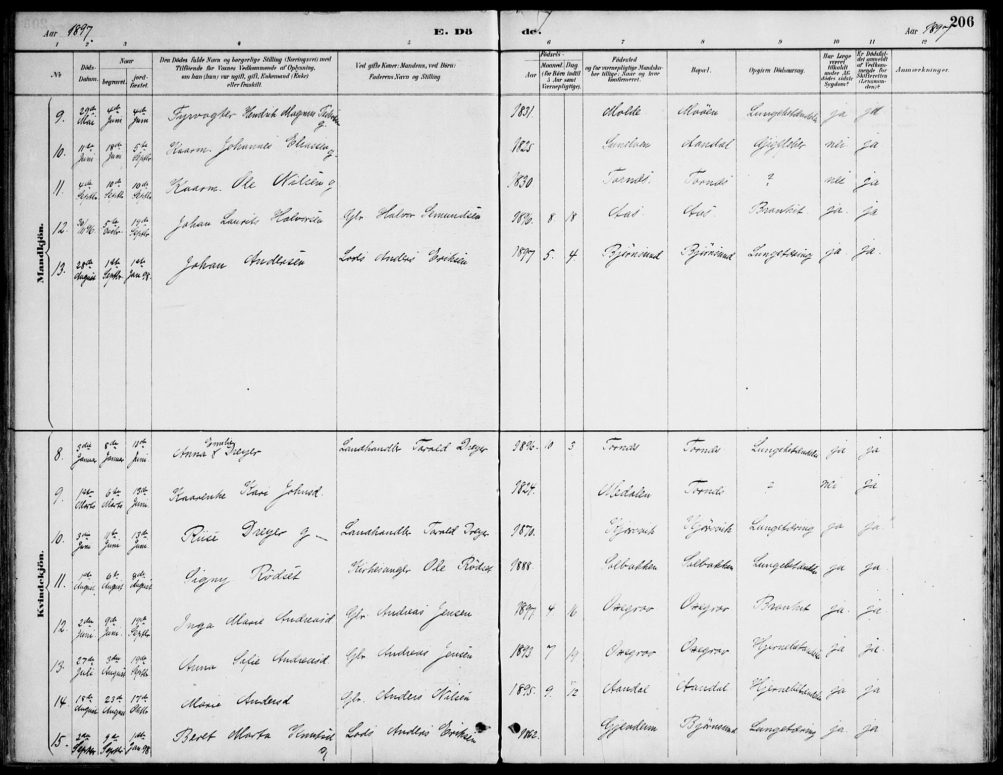 Ministerialprotokoller, klokkerbøker og fødselsregistre - Møre og Romsdal, AV/SAT-A-1454/565/L0750: Ministerialbok nr. 565A04, 1887-1905, s. 206