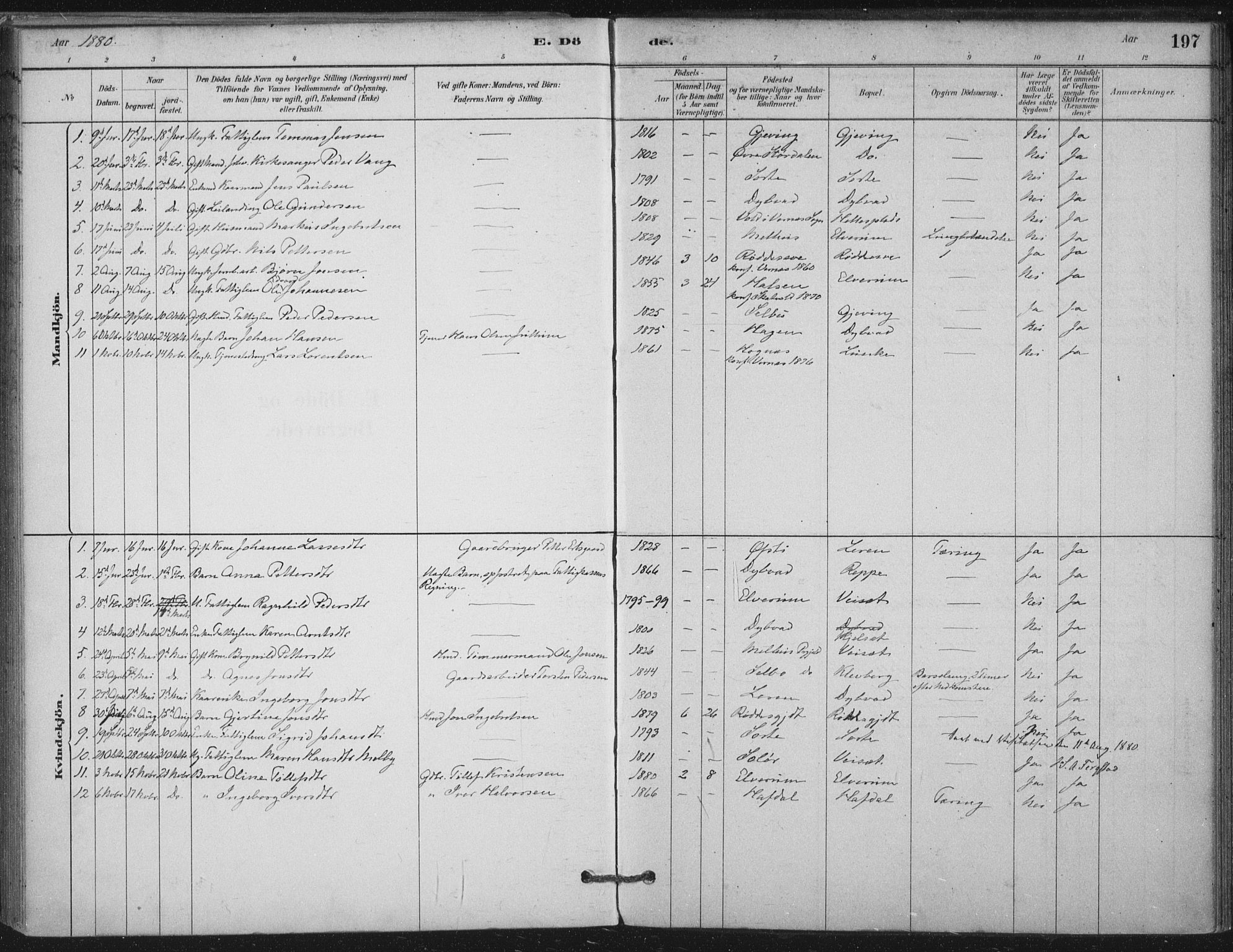 Ministerialprotokoller, klokkerbøker og fødselsregistre - Nord-Trøndelag, SAT/A-1458/710/L0095: Ministerialbok nr. 710A01, 1880-1914, s. 197