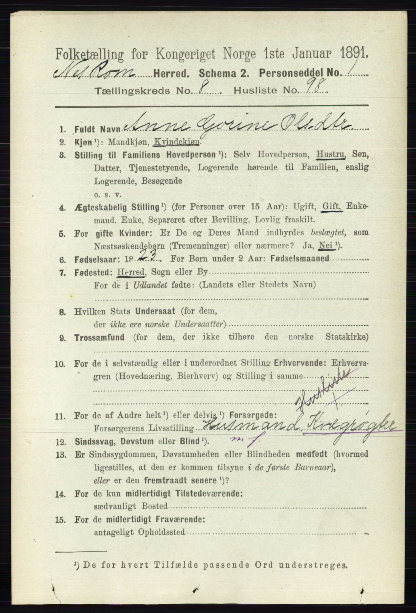 RA, Folketelling 1891 for 0236 Nes herred, 1891, s. 5181