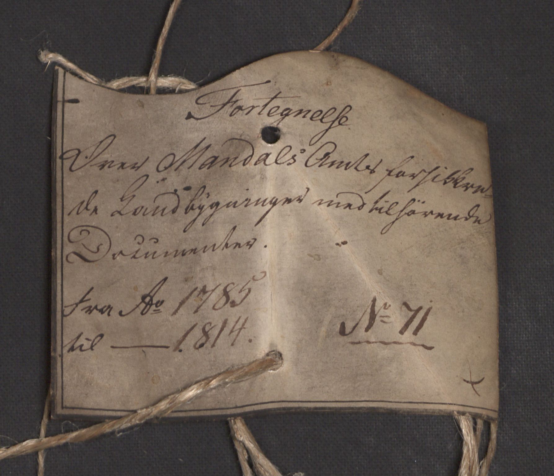 Kommersekollegiet, Brannforsikringskontoret 1767-1814, RA/EA-5458/F/Fb/L0071/0001: Mandal amt / Branntakstprotokoll med dokumenter, 1808