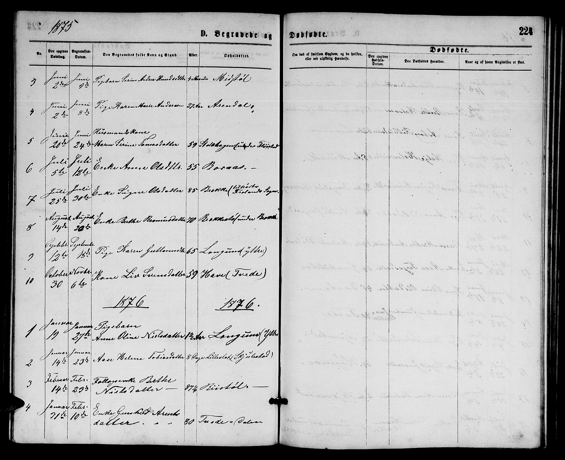 Austre Moland sokneprestkontor, AV/SAK-1111-0001/F/Fb/Fba/L0002: Klokkerbok nr. B 2, 1869-1879, s. 224