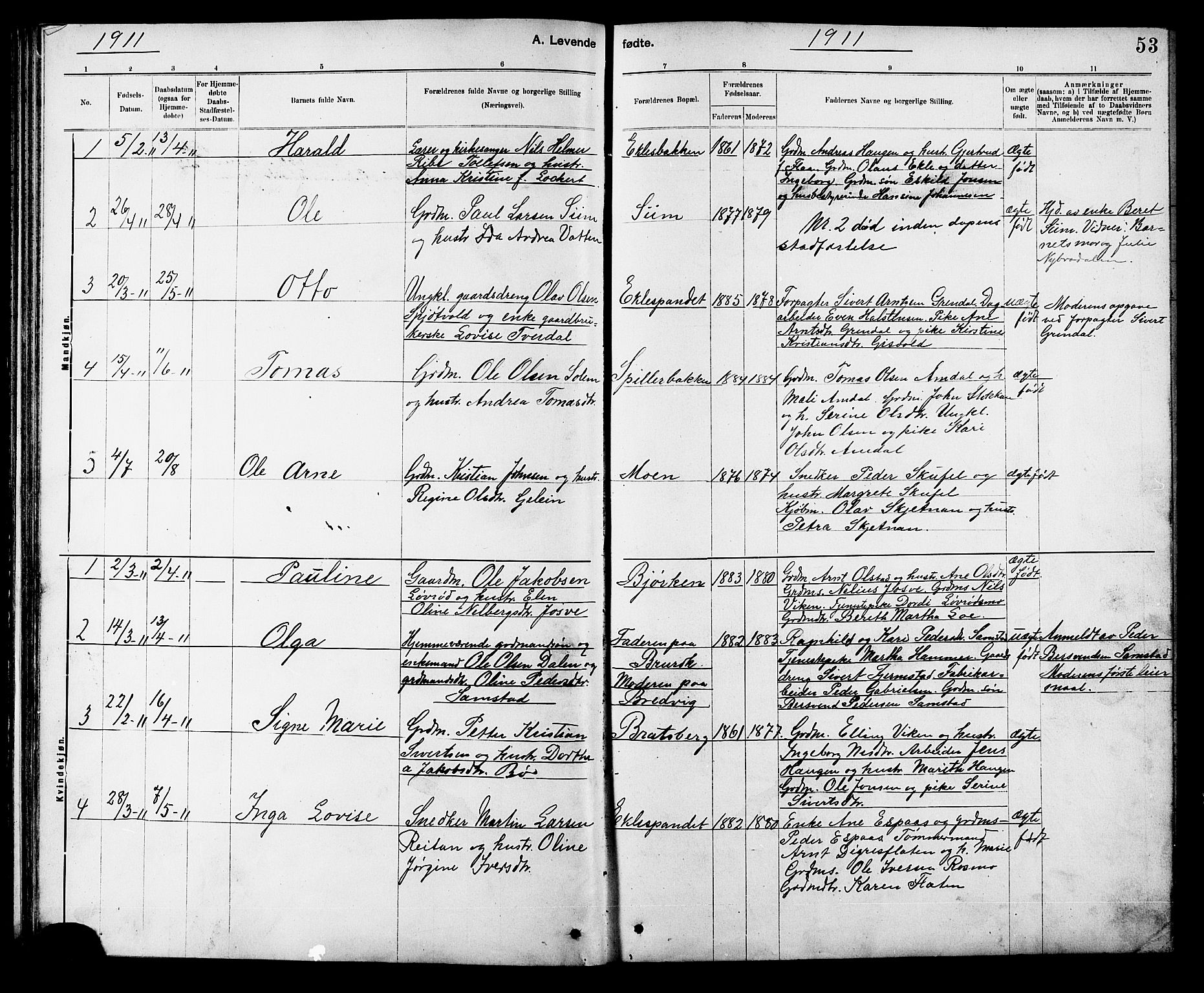 Ministerialprotokoller, klokkerbøker og fødselsregistre - Sør-Trøndelag, AV/SAT-A-1456/608/L0341: Klokkerbok nr. 608C07, 1890-1912, s. 53