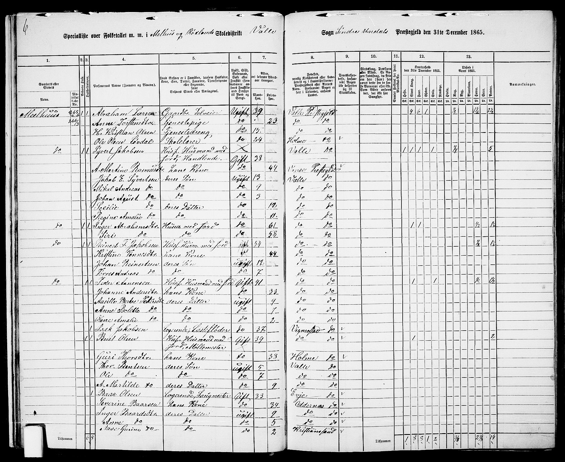 RA, Folketelling 1865 for 1029P Sør-Audnedal prestegjeld, 1865, s. 22