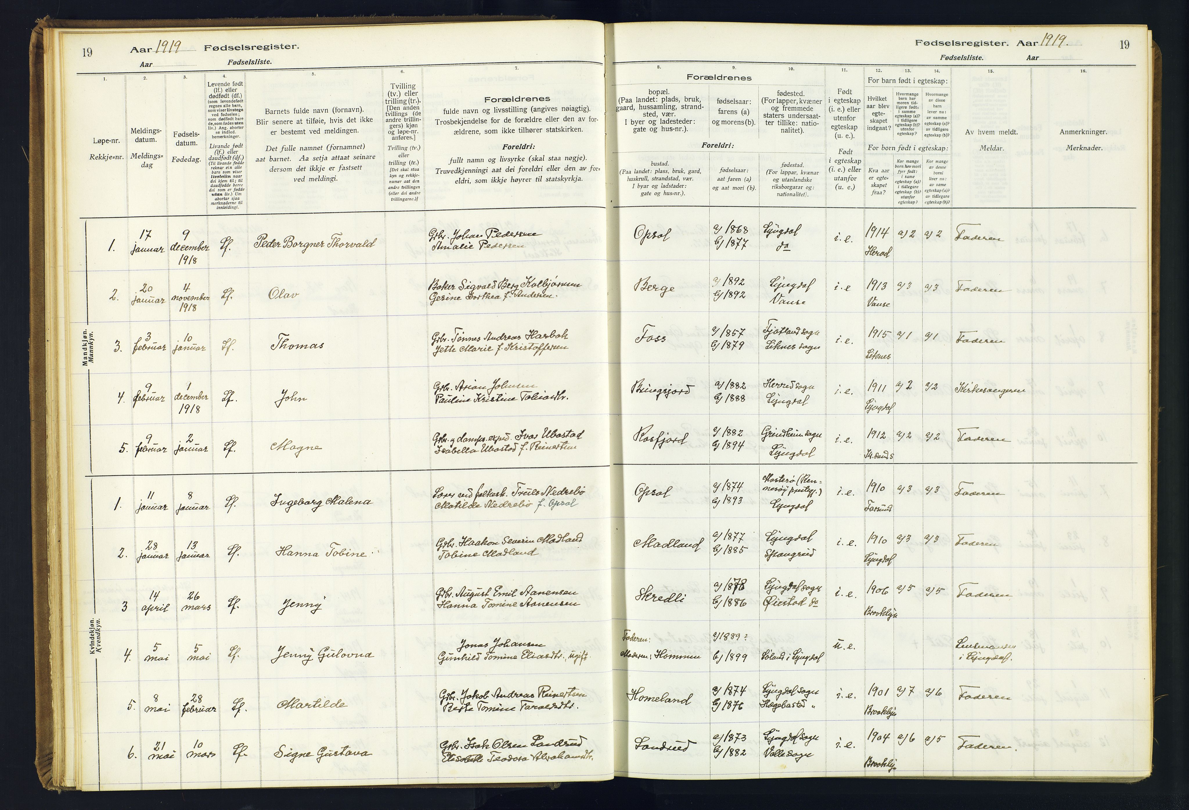 Lyngdal sokneprestkontor, AV/SAK-1111-0029/J/Ja/L0001: Fødselsregister nr. A-VI-26, 1916-1951, s. 19