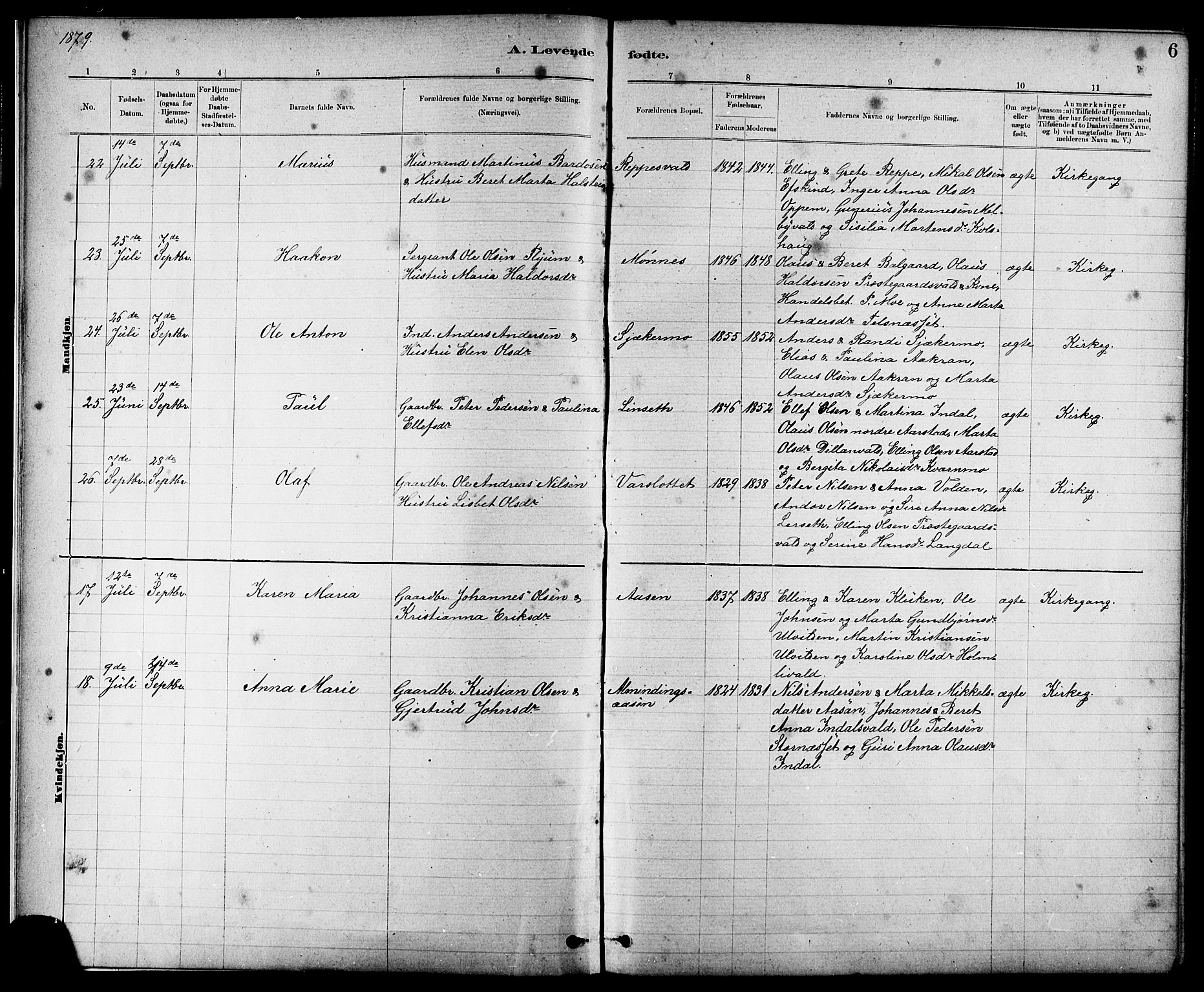 Ministerialprotokoller, klokkerbøker og fødselsregistre - Nord-Trøndelag, SAT/A-1458/724/L0267: Klokkerbok nr. 724C03, 1879-1898, s. 6