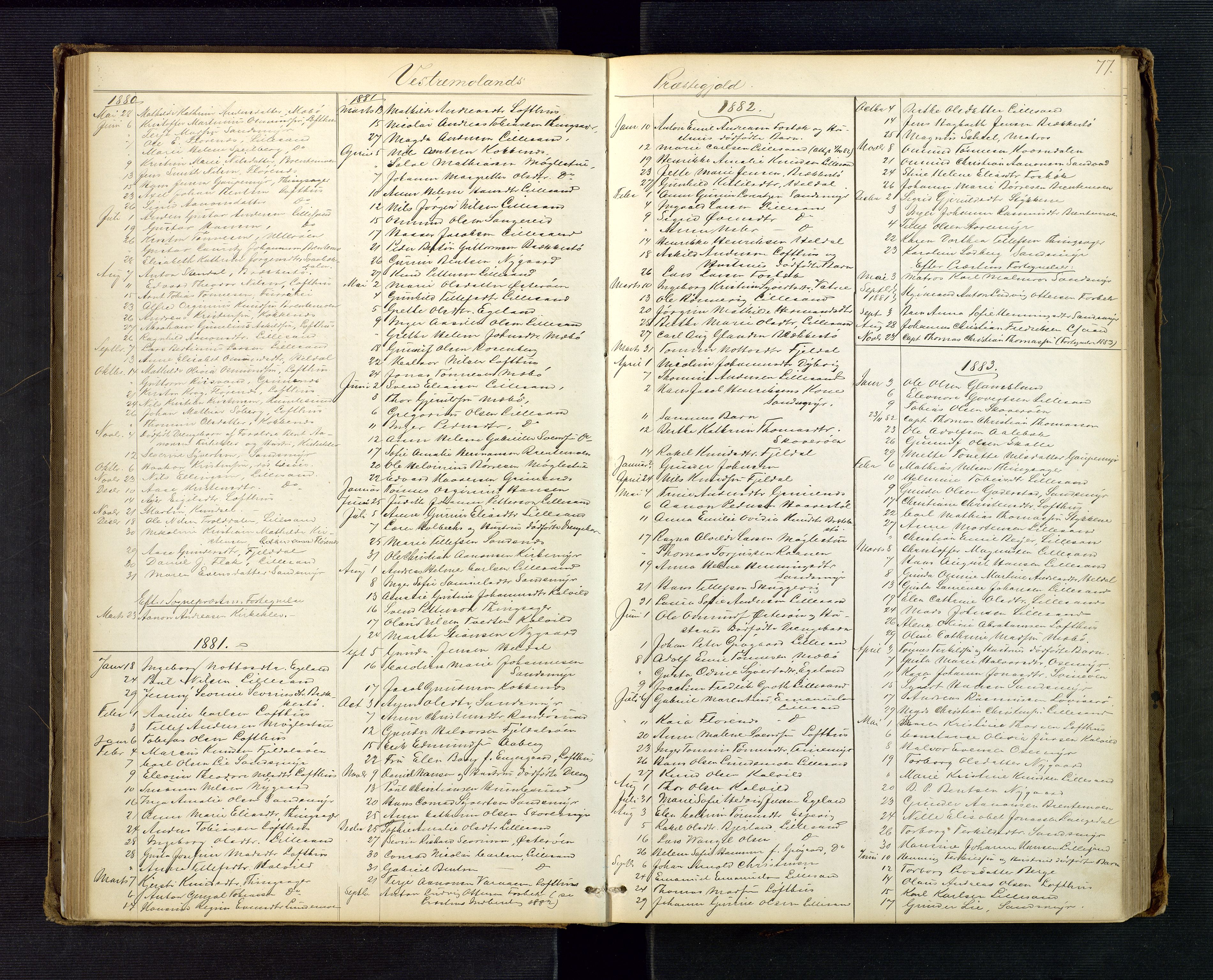 Vestre Nedenes/Sand sorenskriveri, AV/SAK-1221-0010/H/Ha/L0001: Dødsfallsliste, 1861-1918, s. 77