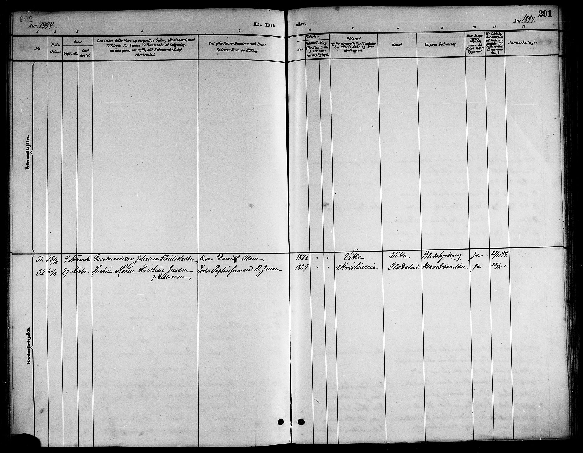 Ministerialprotokoller, klokkerbøker og fødselsregistre - Nordland, SAT/A-1459/816/L0253: Klokkerbok nr. 816C03, 1886-1905, s. 291