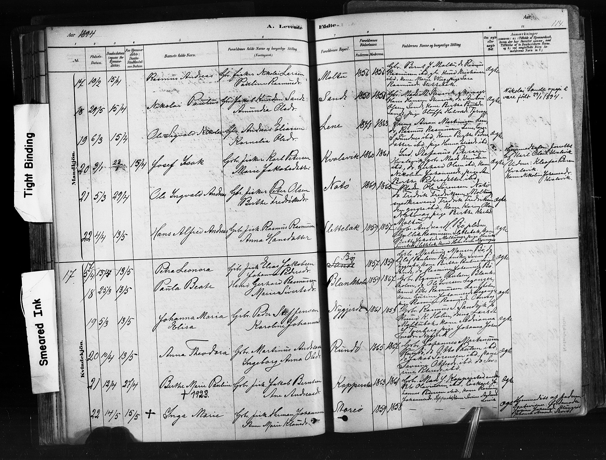 Ministerialprotokoller, klokkerbøker og fødselsregistre - Møre og Romsdal, AV/SAT-A-1454/507/L0073: Ministerialbok nr. 507A08, 1878-1904, s. 114