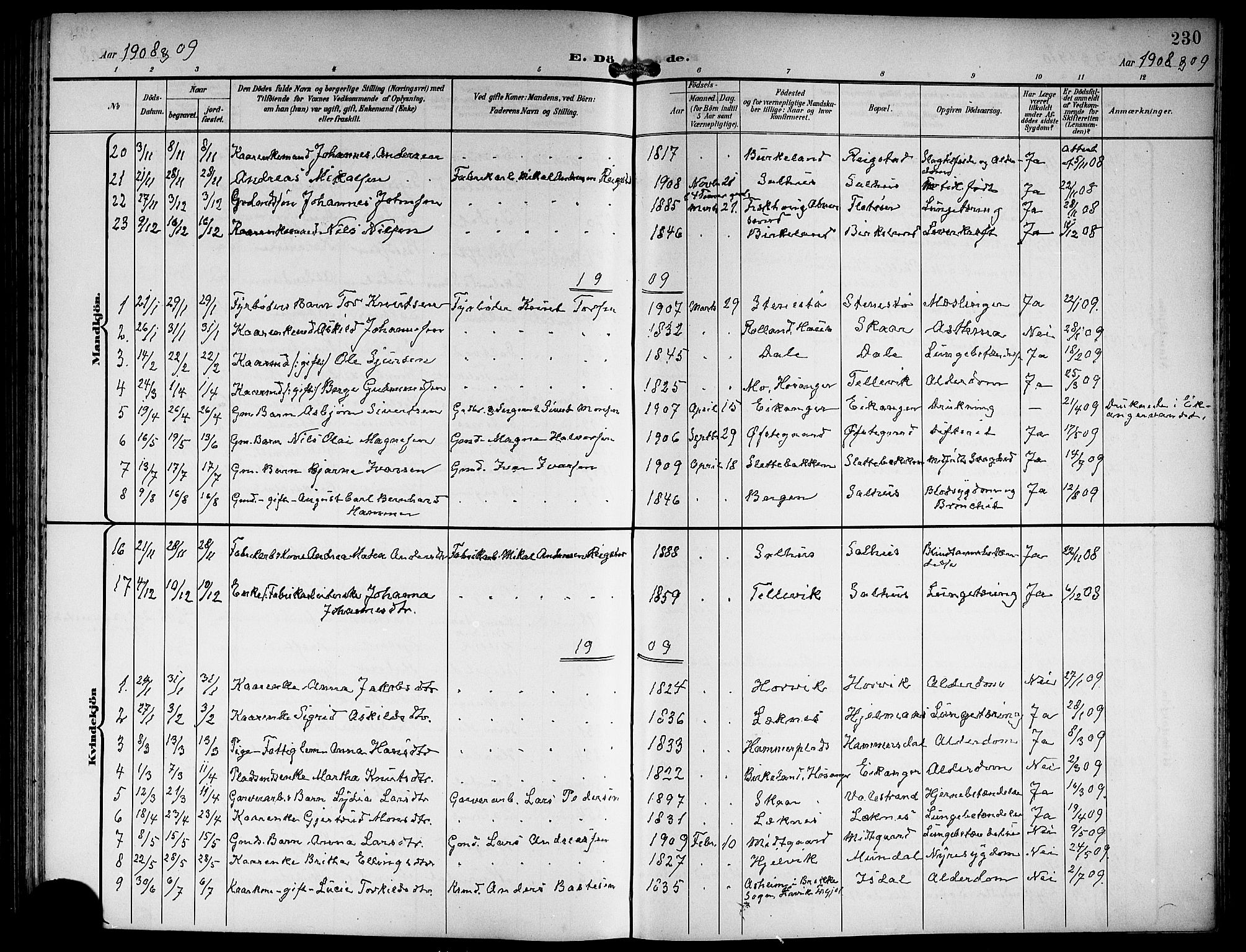 Hamre sokneprestembete, SAB/A-75501/H/Ha/Hab: Klokkerbok nr. B 4, 1898-1919, s. 230