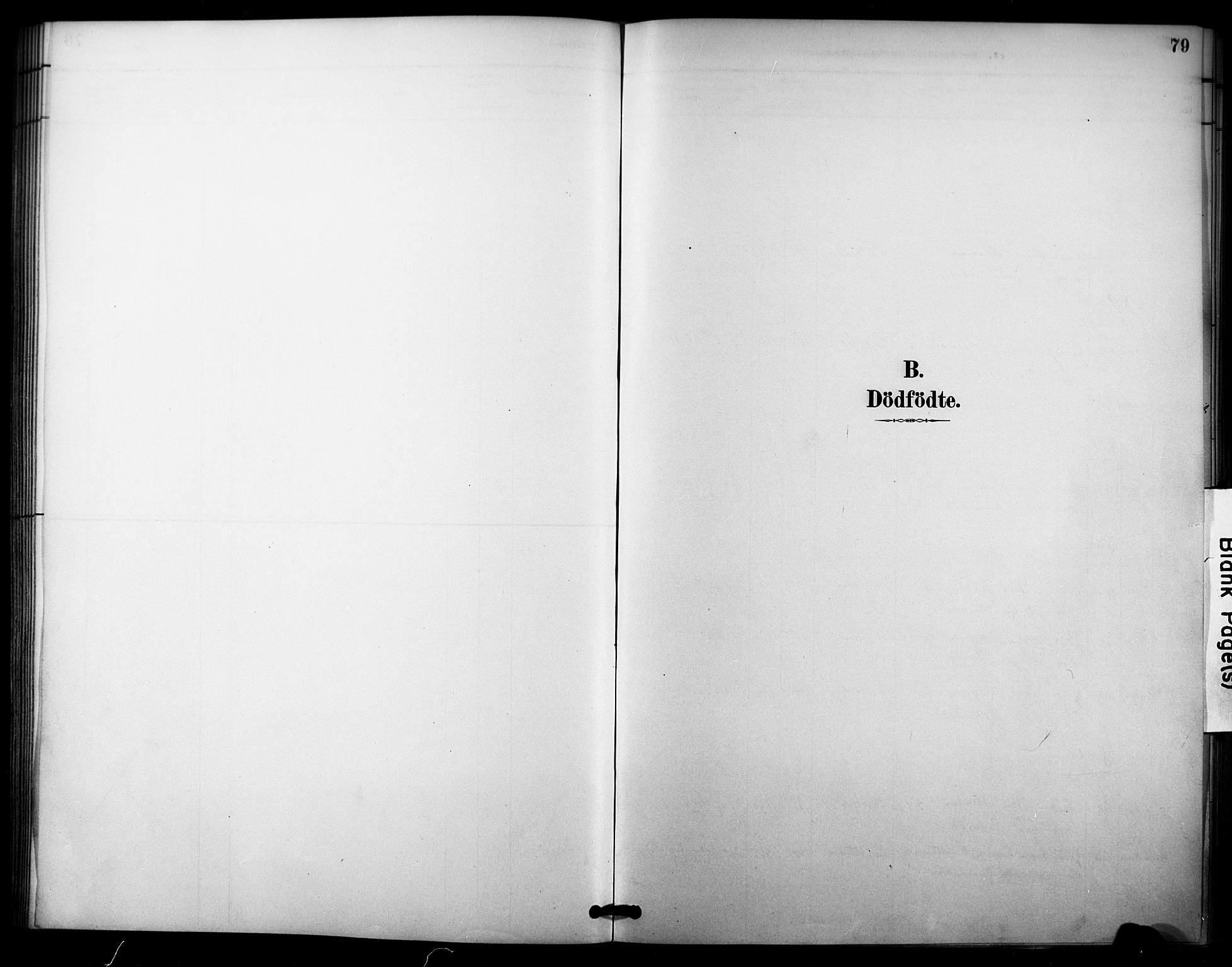 Nore kirkebøker, SAKO/A-238/F/Fc/L0004: Ministerialbok nr. III 4, 1885-1898, s. 79