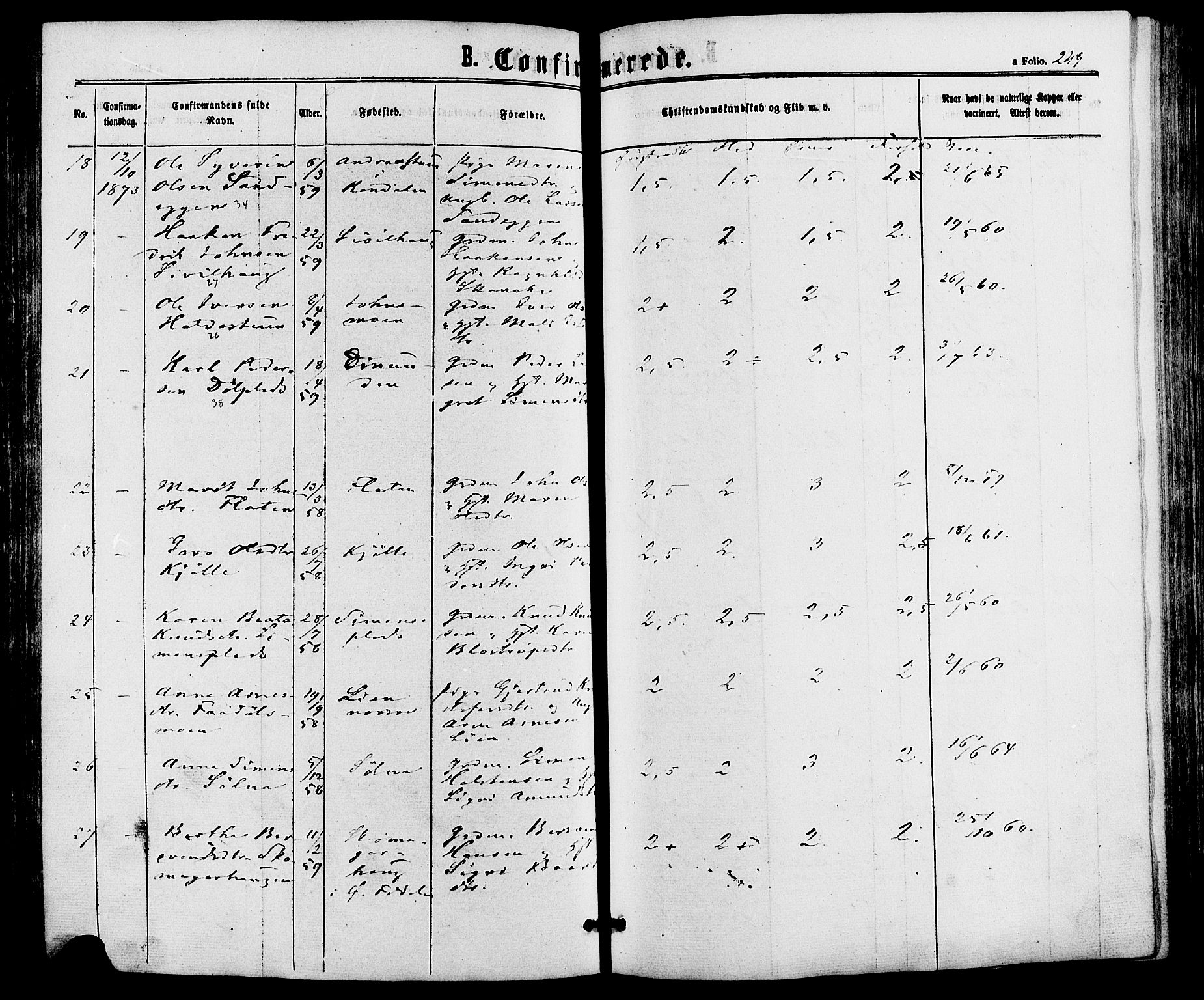 Alvdal prestekontor, SAH/PREST-060/H/Ha/Haa/L0001: Ministerialbok nr. 1, 1863-1882, s. 249