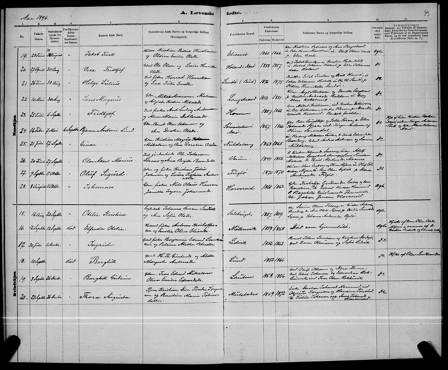 Ministerialprotokoller, klokkerbøker og fødselsregistre - Nord-Trøndelag, SAT/A-1458/780/L0651: Klokkerbok nr. 780C03, 1884-1898, s. 43