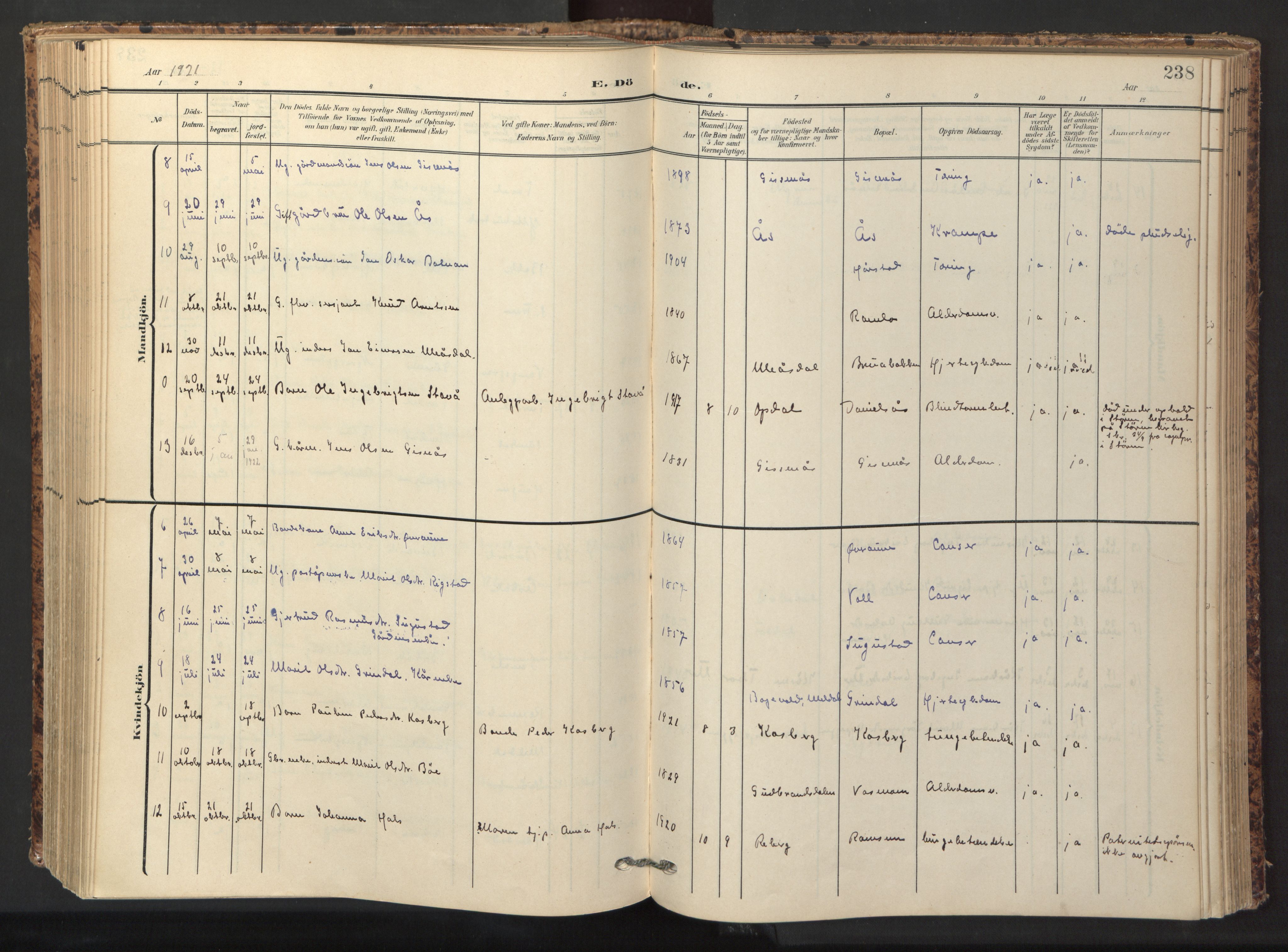 Ministerialprotokoller, klokkerbøker og fødselsregistre - Sør-Trøndelag, SAT/A-1456/674/L0873: Ministerialbok nr. 674A05, 1908-1923, s. 238
