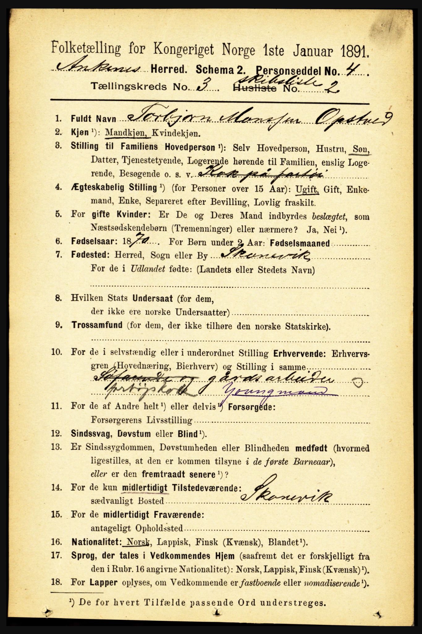 RA, Folketelling 1891 for 1855 Ankenes herred, 1891, s. 2215