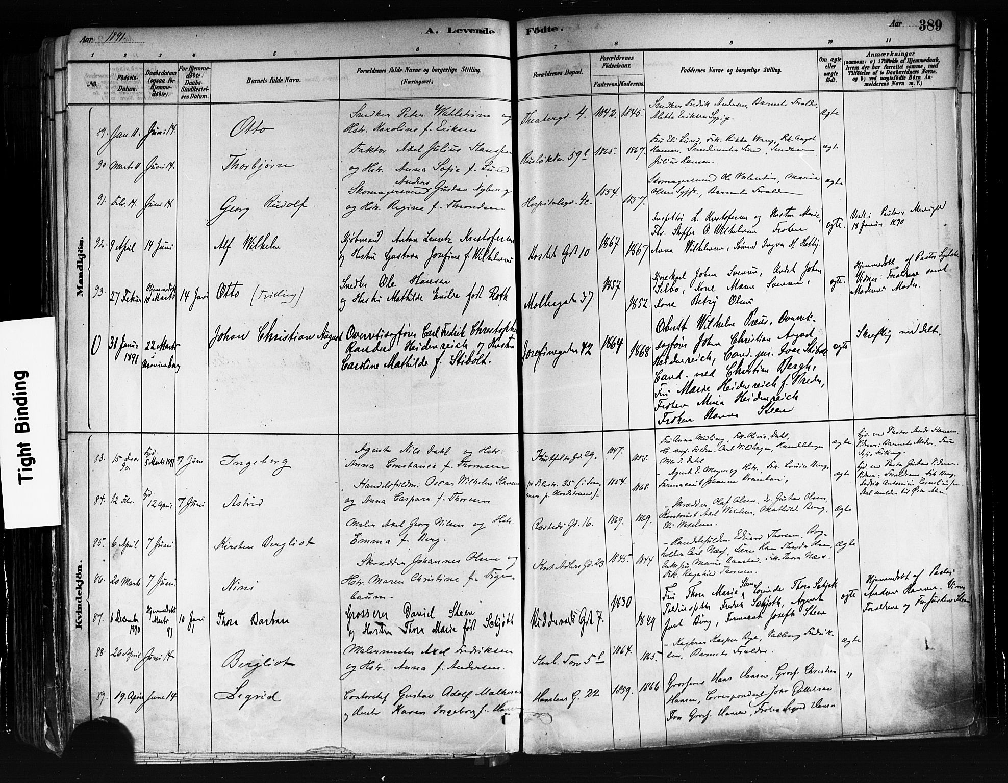 Trefoldighet prestekontor Kirkebøker, AV/SAO-A-10882/F/Fa/L0005: Ministerialbok nr. I 5, 1881-1891, s. 389