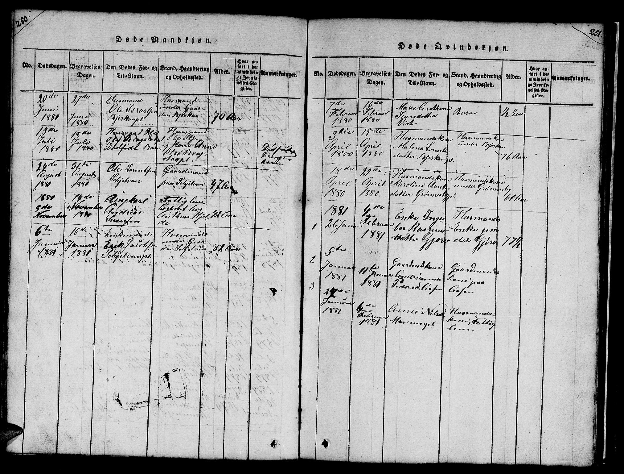Ministerialprotokoller, klokkerbøker og fødselsregistre - Nord-Trøndelag, SAT/A-1458/732/L0317: Klokkerbok nr. 732C01, 1816-1881, s. 250-251