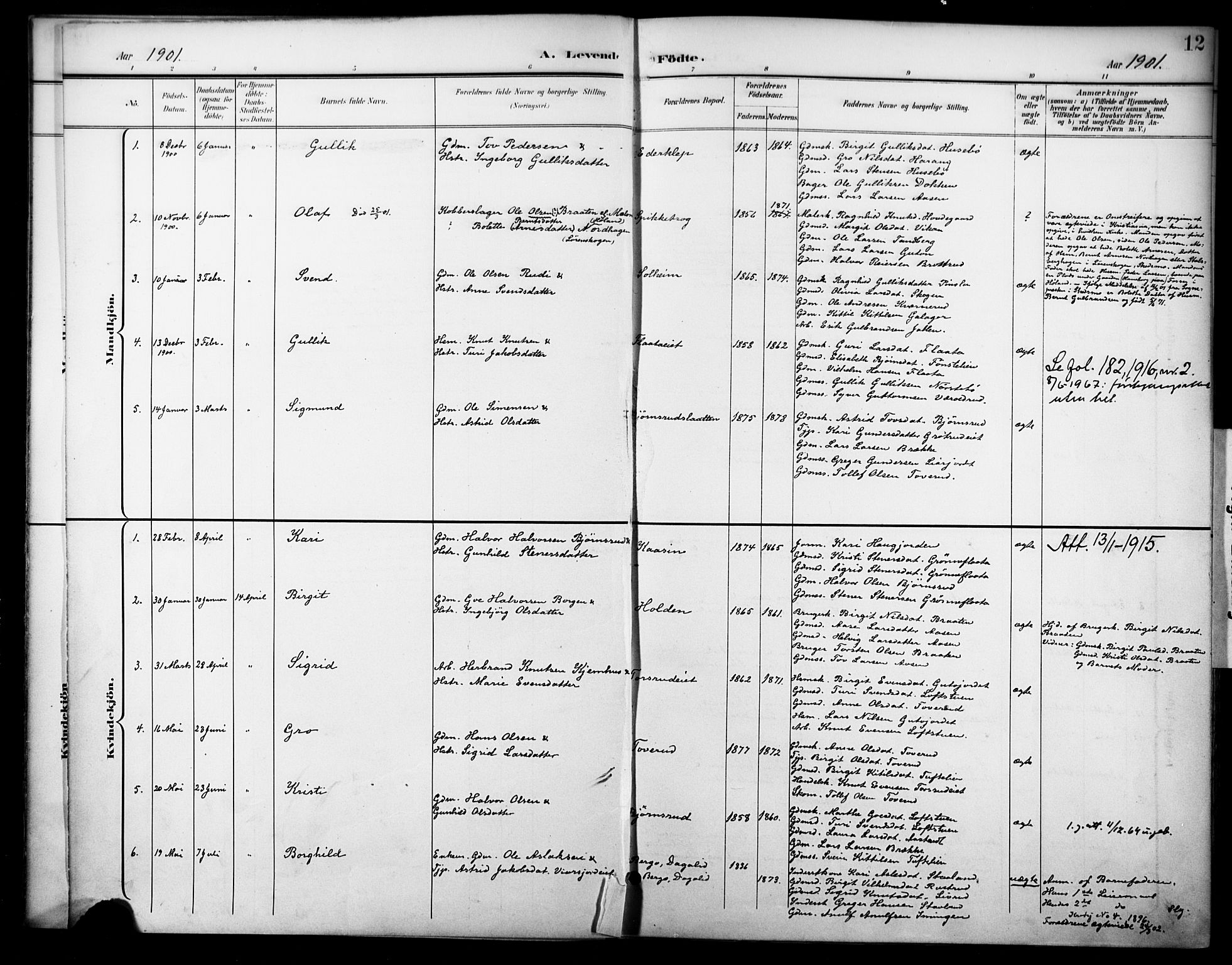 Nore kirkebøker, AV/SAKO-A-238/F/Fc/L0005: Ministerialbok nr. III 5, 1898-1922, s. 12