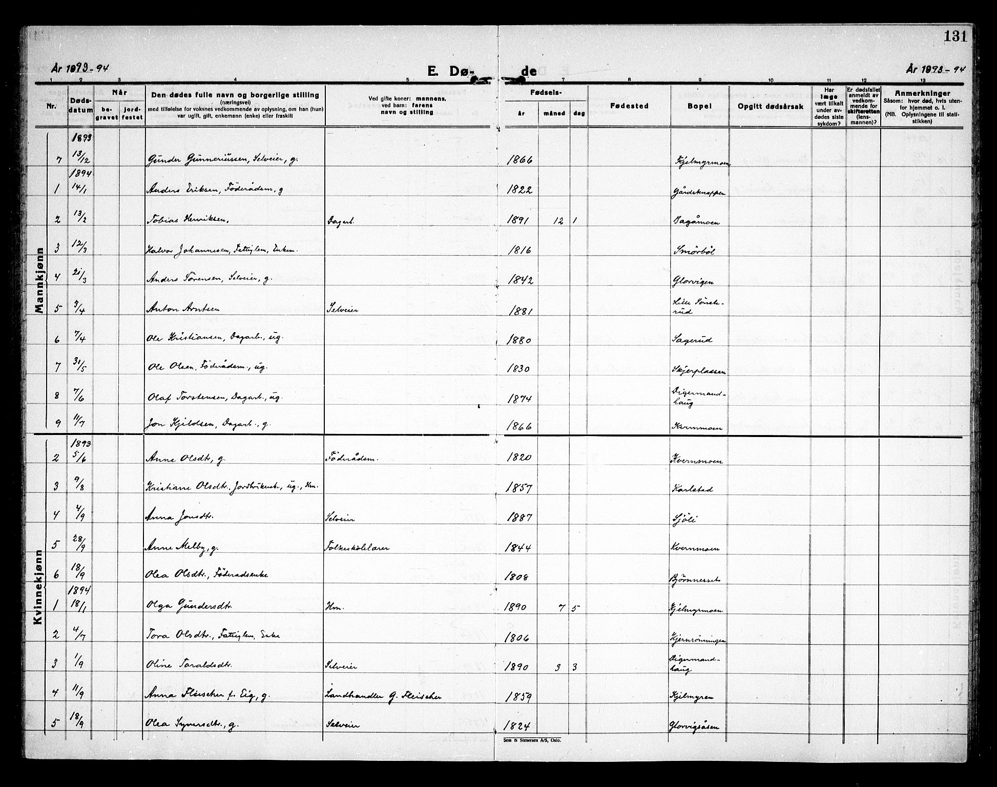 Åsnes prestekontor, SAH/PREST-042/H/Ha/Haa/L0000D: Ministerialbok nr. 0B, 1890-1929, s. 131