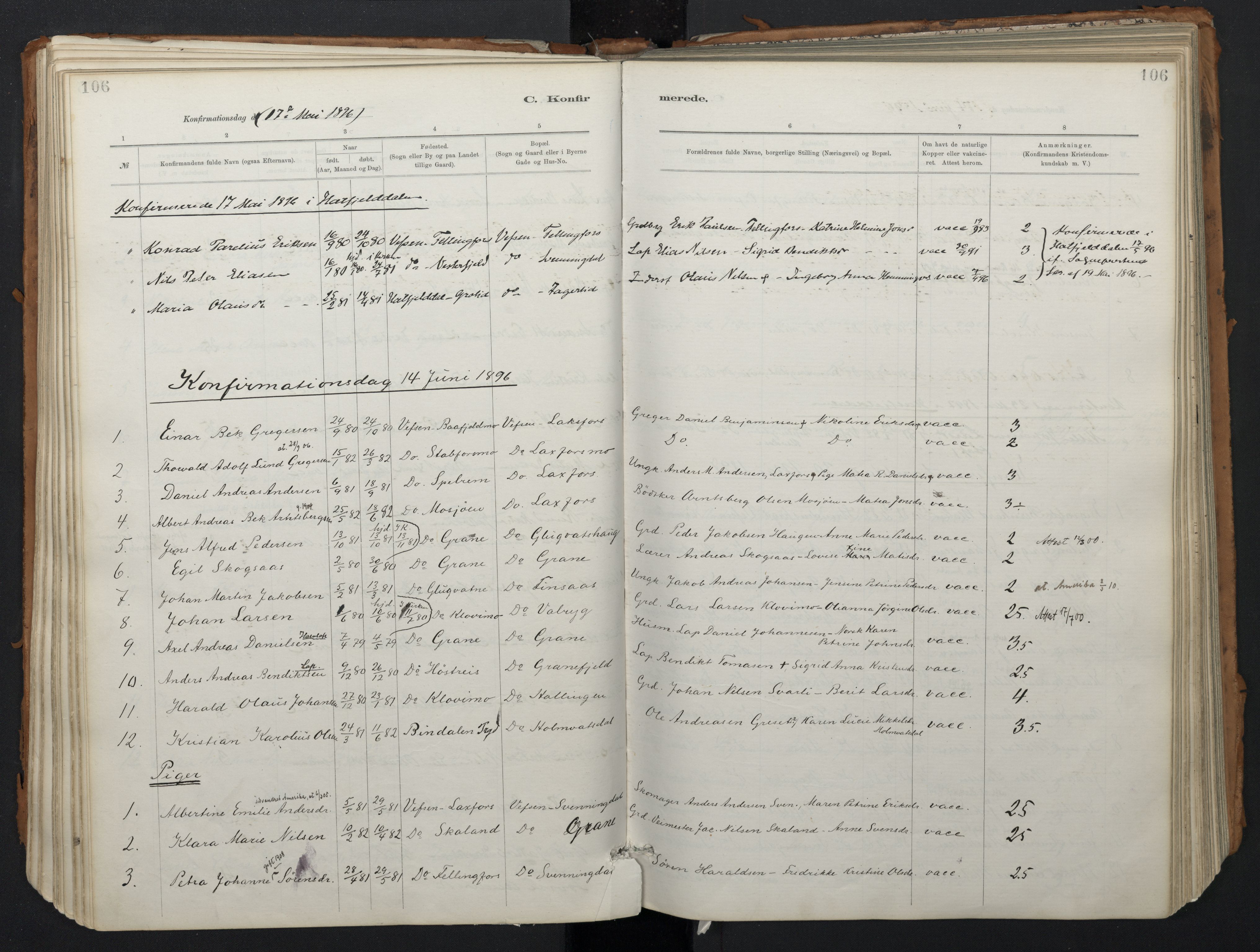 Ministerialprotokoller, klokkerbøker og fødselsregistre - Nordland, AV/SAT-A-1459/824/L0338: Ministerialbok nr. 824A01, 1880-1915, s. 106