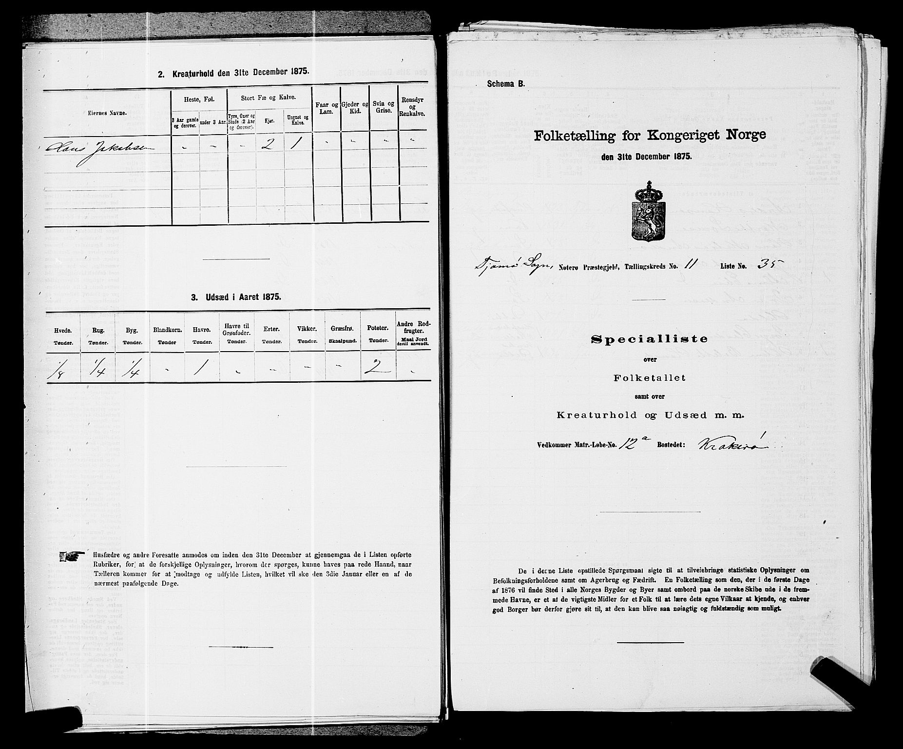 SAKO, Folketelling 1875 for 0722P Nøtterøy prestegjeld, 1875, s. 2246