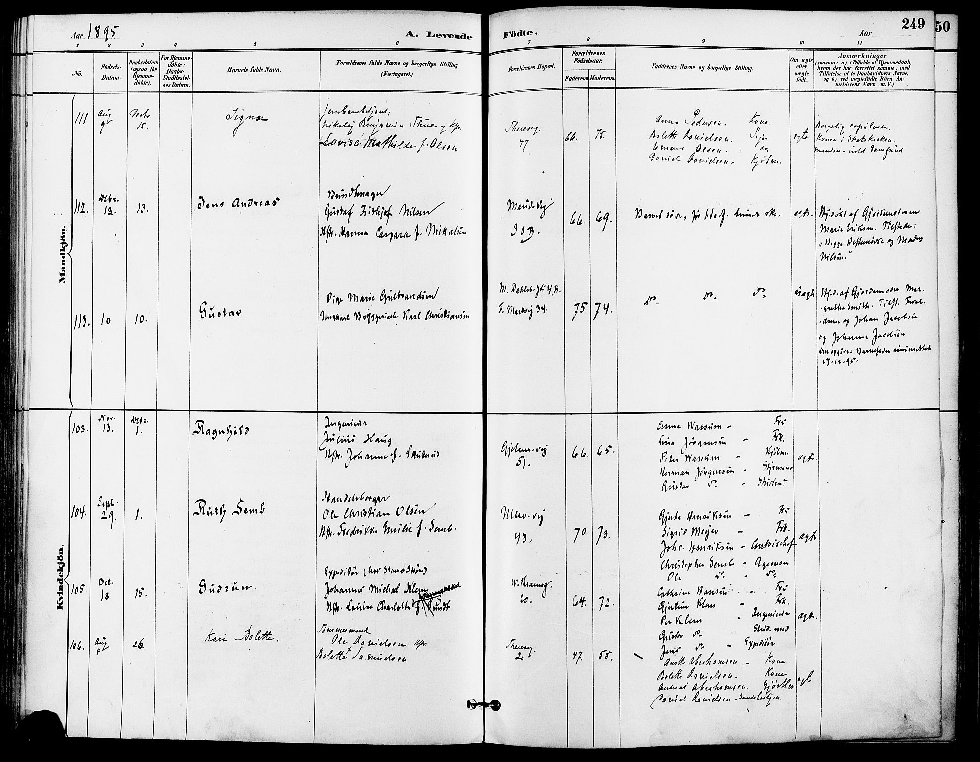 Gamle Aker prestekontor Kirkebøker, AV/SAO-A-10617a/F/L0008: Ministerialbok nr. 8, 1887-1896, s. 249