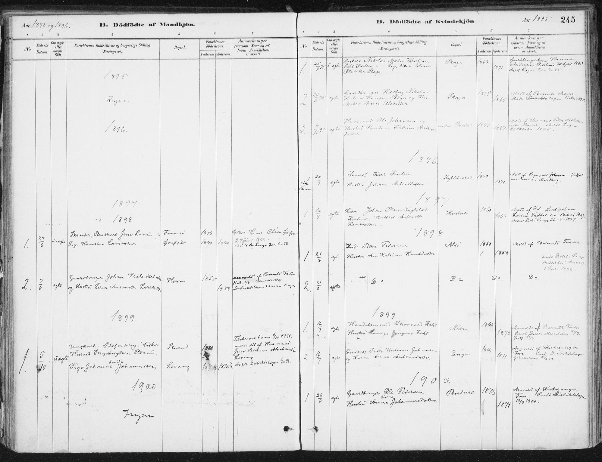 Ministerialprotokoller, klokkerbøker og fødselsregistre - Nordland, SAT/A-1459/838/L0552: Ministerialbok nr. 838A10, 1880-1910, s. 245