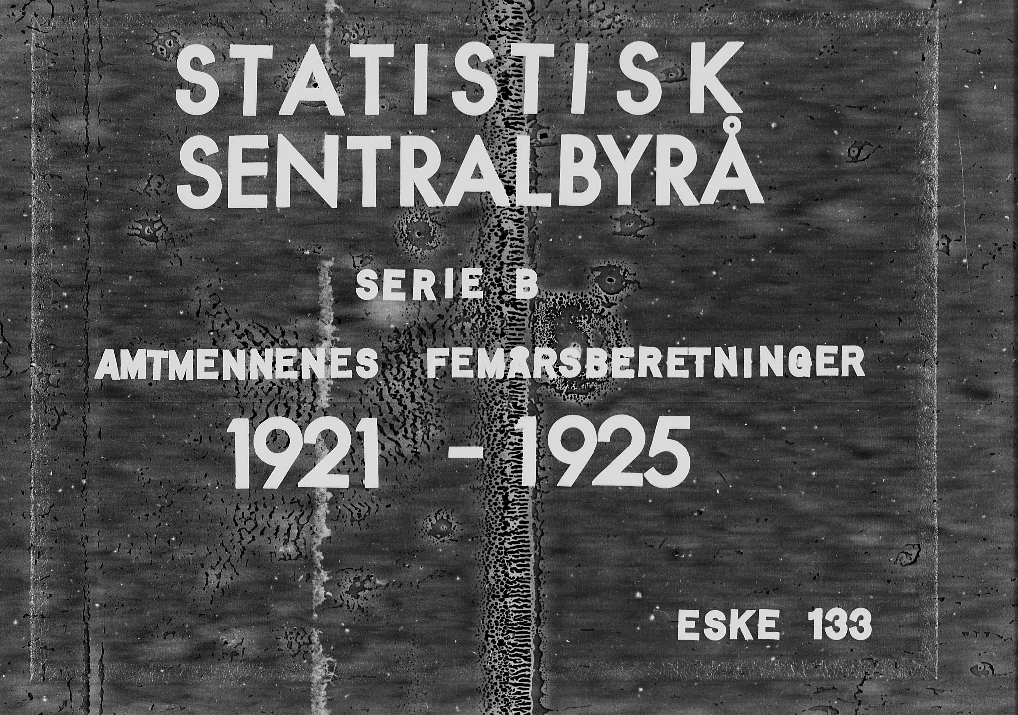 Statistisk sentralbyrå, Næringsøkonomiske emner, Generelt - Amtmennenes femårsberetninger, AV/RA-S-2233/F/Fa/L0133: --, 1916-1925, s. 325