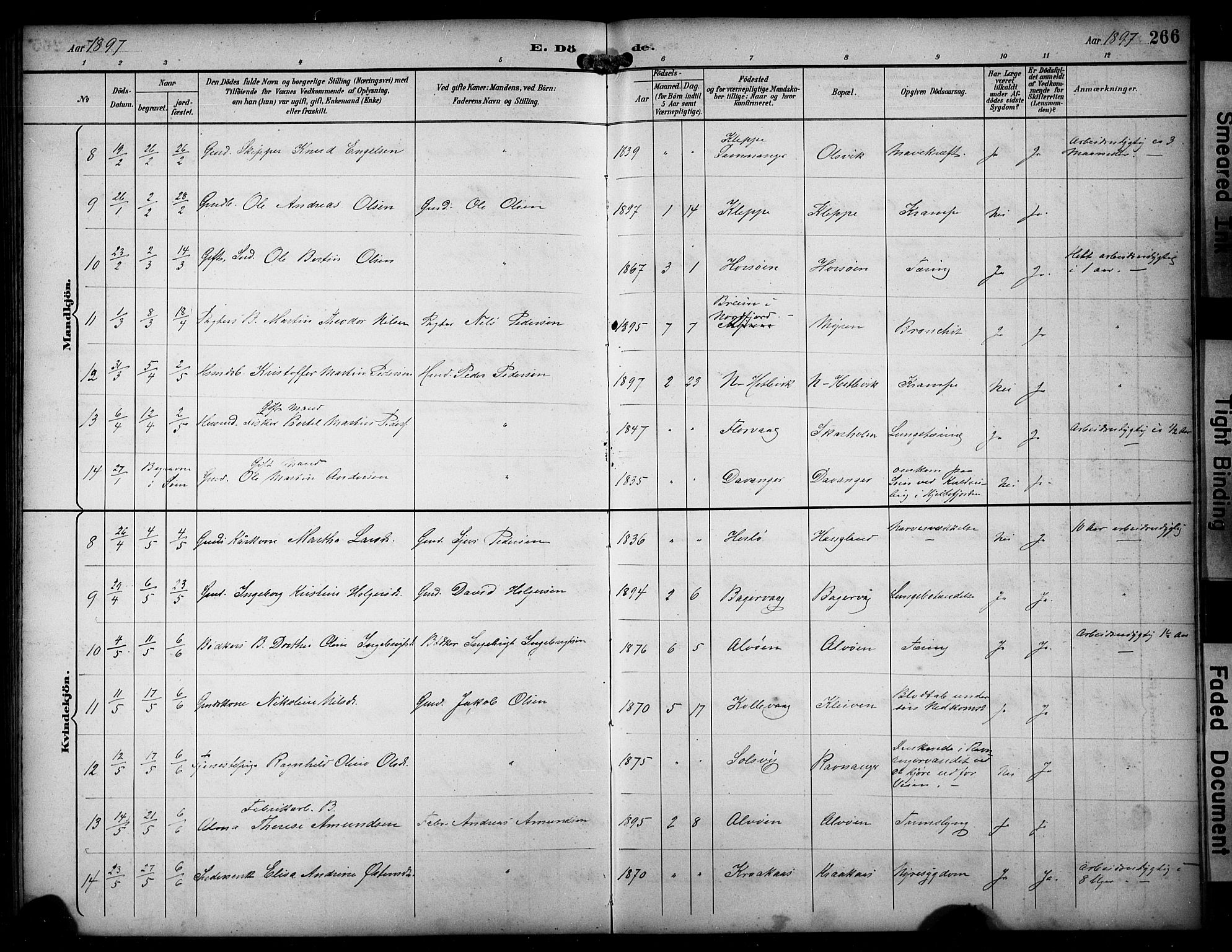 Askøy Sokneprestembete, AV/SAB-A-74101/H/Ha/Hab/Haba/L0009: Klokkerbok nr. A 9, 1894-1903, s. 266