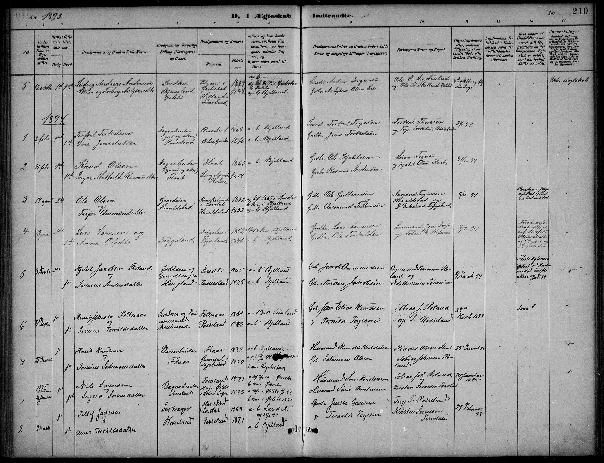 Bjelland sokneprestkontor, AV/SAK-1111-0005/F/Fb/Fba/L0005: Klokkerbok nr. B 5, 1887-1923, s. 210