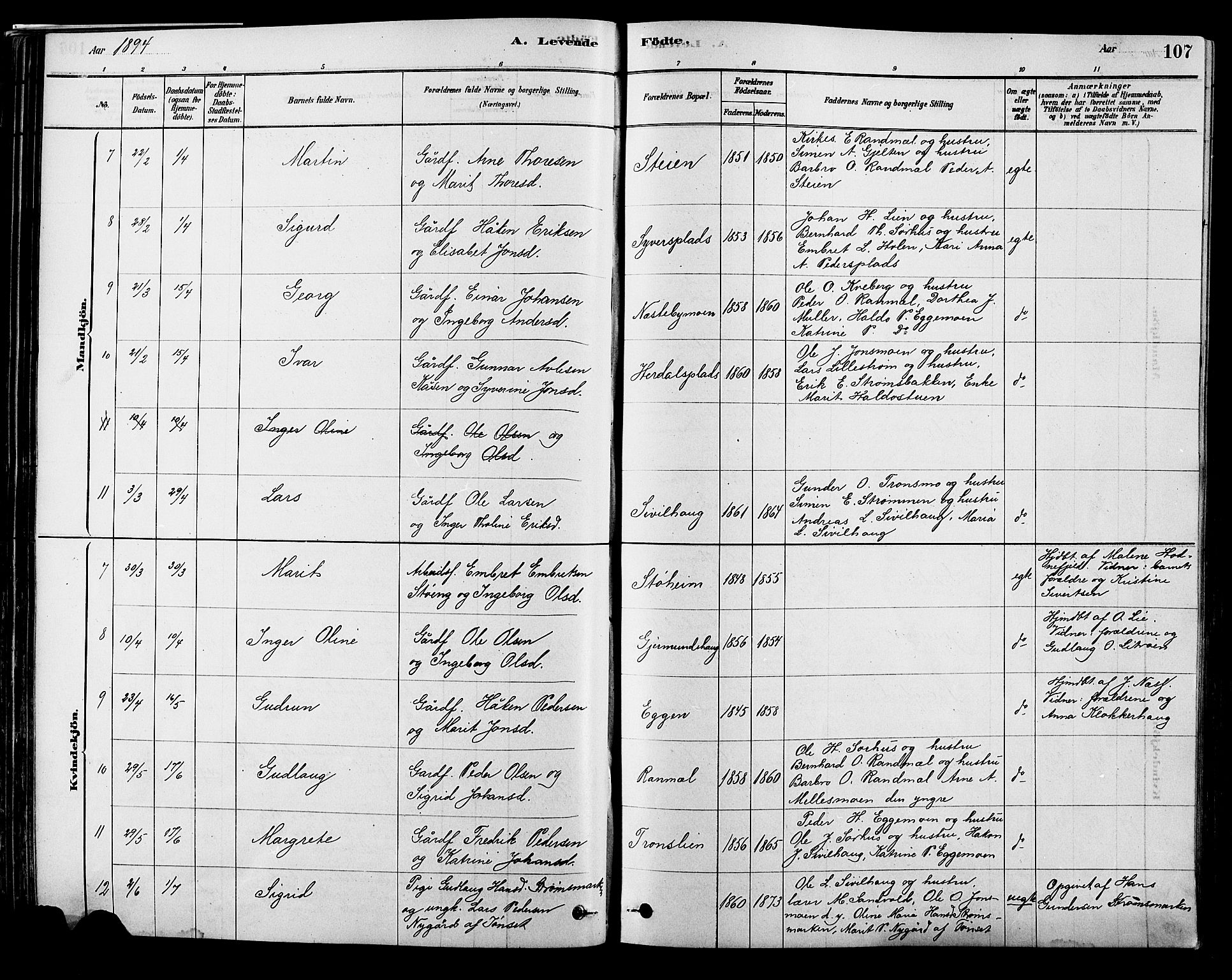 Alvdal prestekontor, AV/SAH-PREST-060/H/Ha/Hab/L0003: Klokkerbok nr. 3, 1878-1907, s. 107