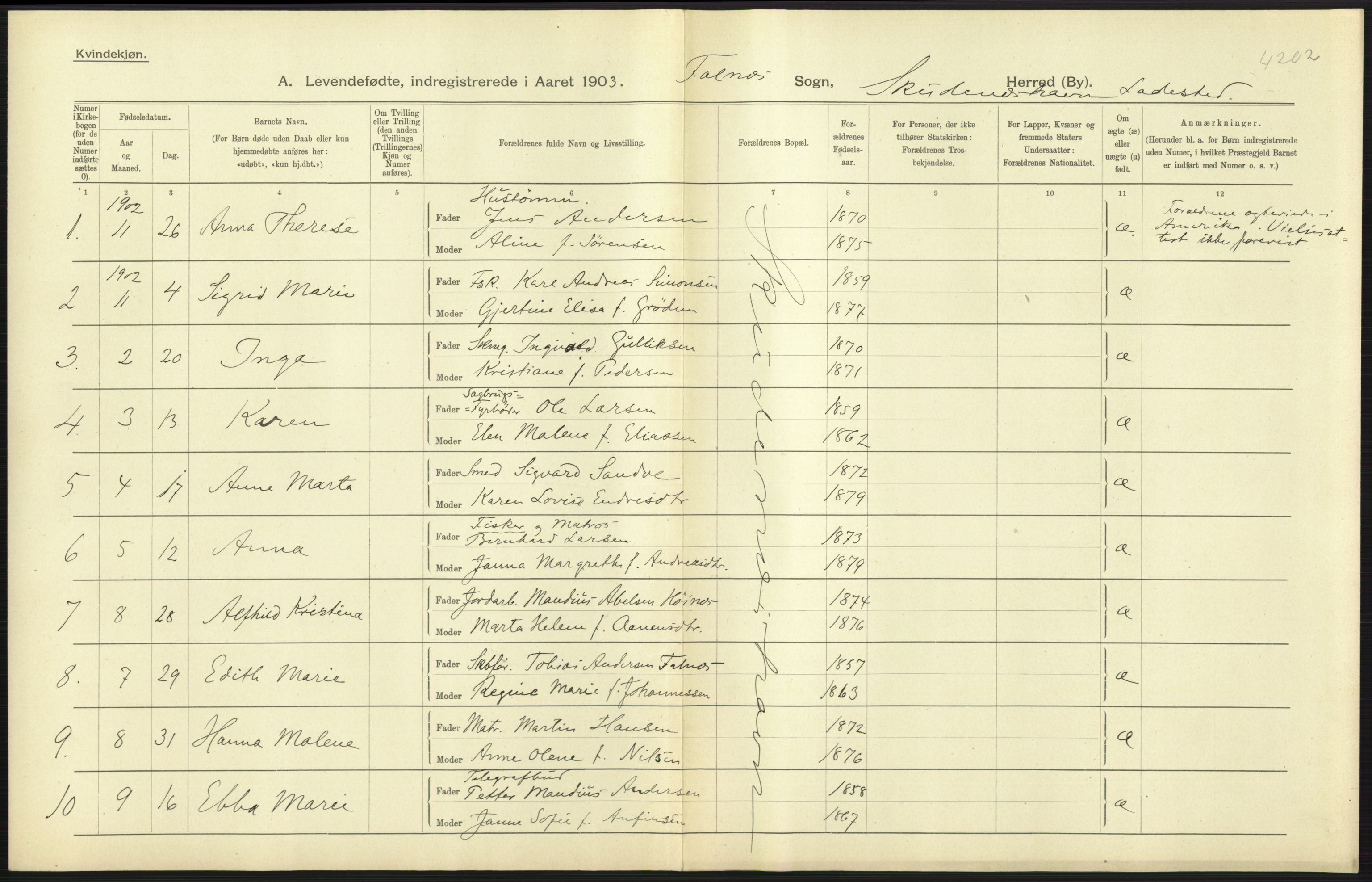 Statistisk sentralbyrå, Sosiodemografiske emner, Befolkning, AV/RA-S-2228/D/Df/Dfa/Dfaa/L0012: Stavanger amt: Fødte, gifte, døde, 1903, s. 315