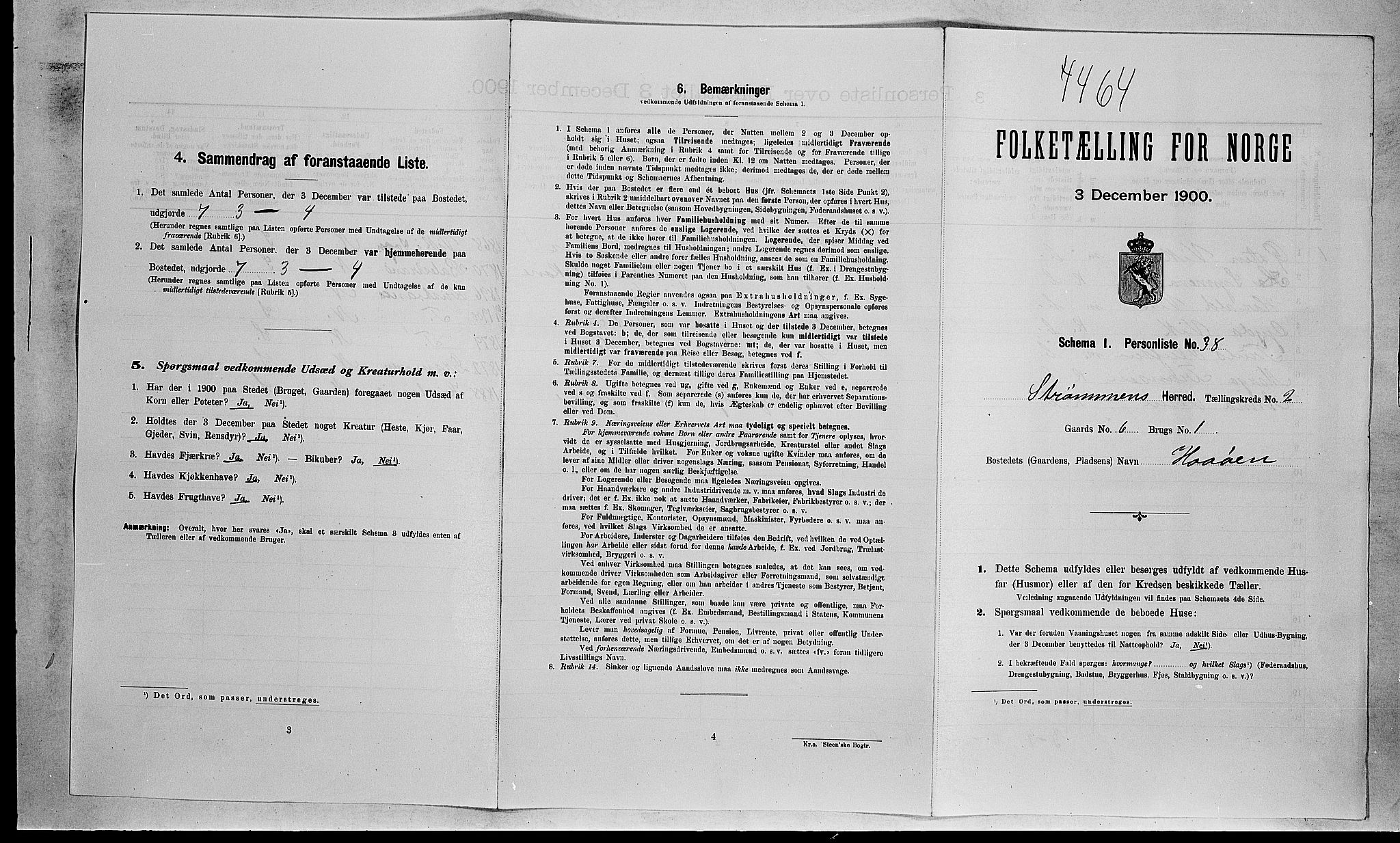 RA, Folketelling 1900 for 0711 Strømm herred, 1900, s. 213