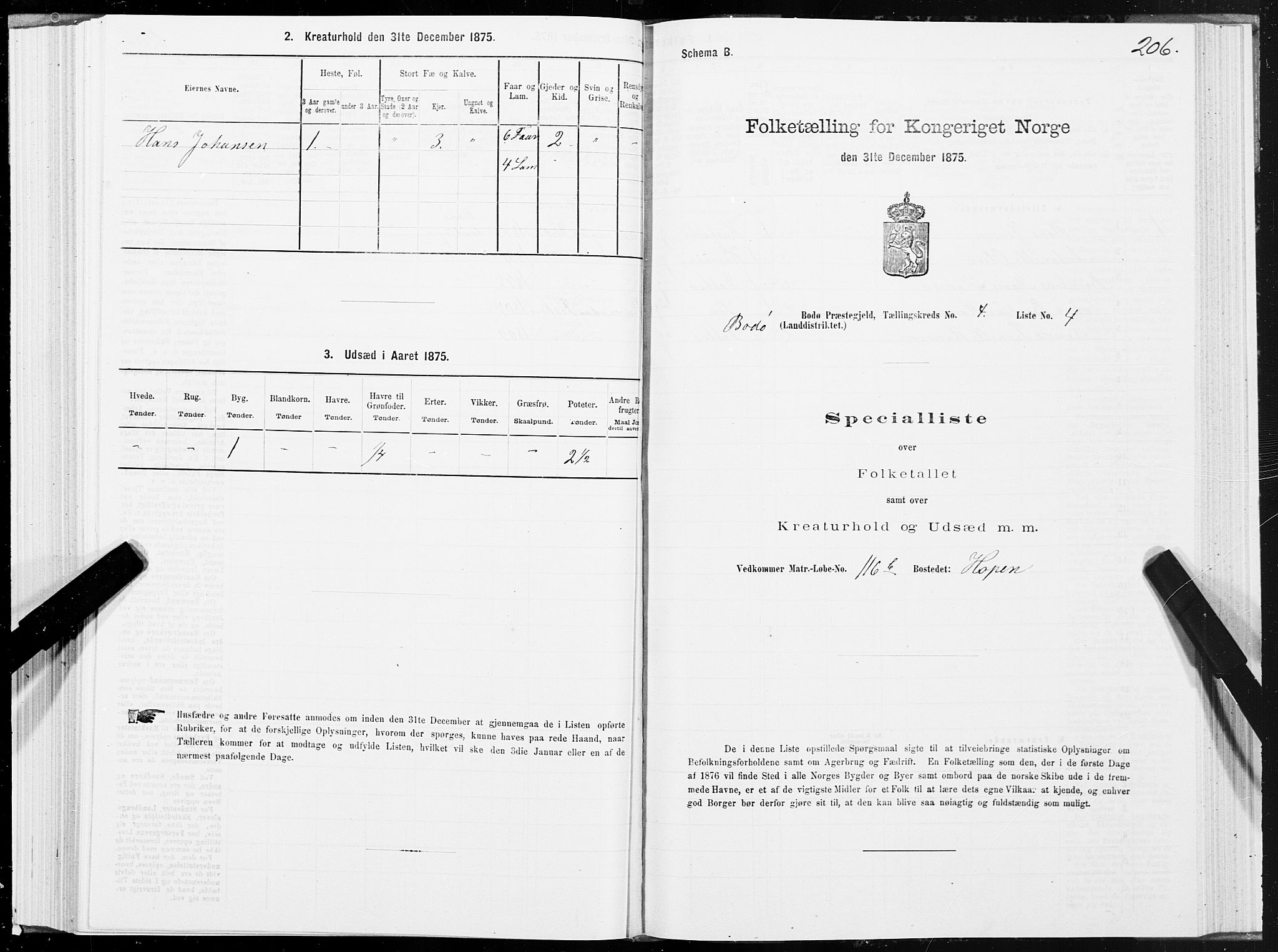 SAT, Folketelling 1875 for 1843L Bodø prestegjeld, Bodø landsokn, 1875, s. 2206