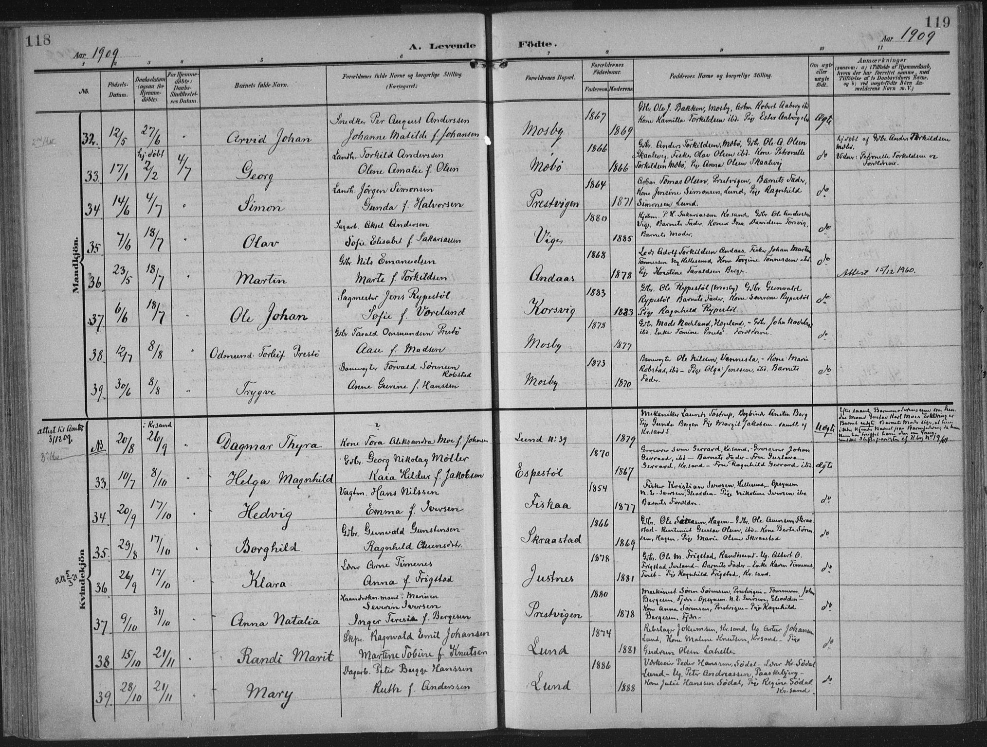 Oddernes sokneprestkontor, AV/SAK-1111-0033/F/Fa/Faa/L0011: Ministerialbok nr. A 11, 1904-1911, s. 118-119